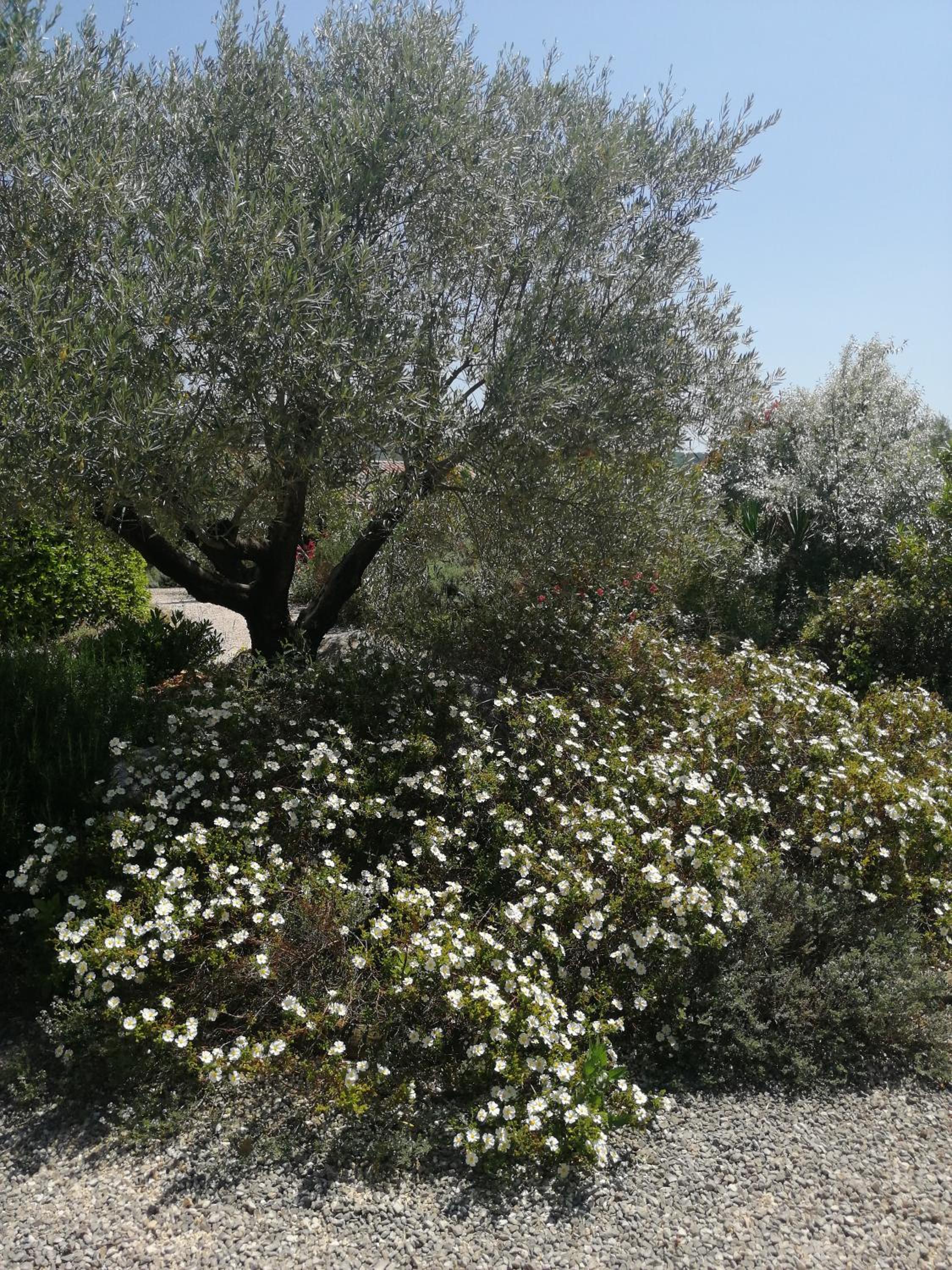 Photo 37