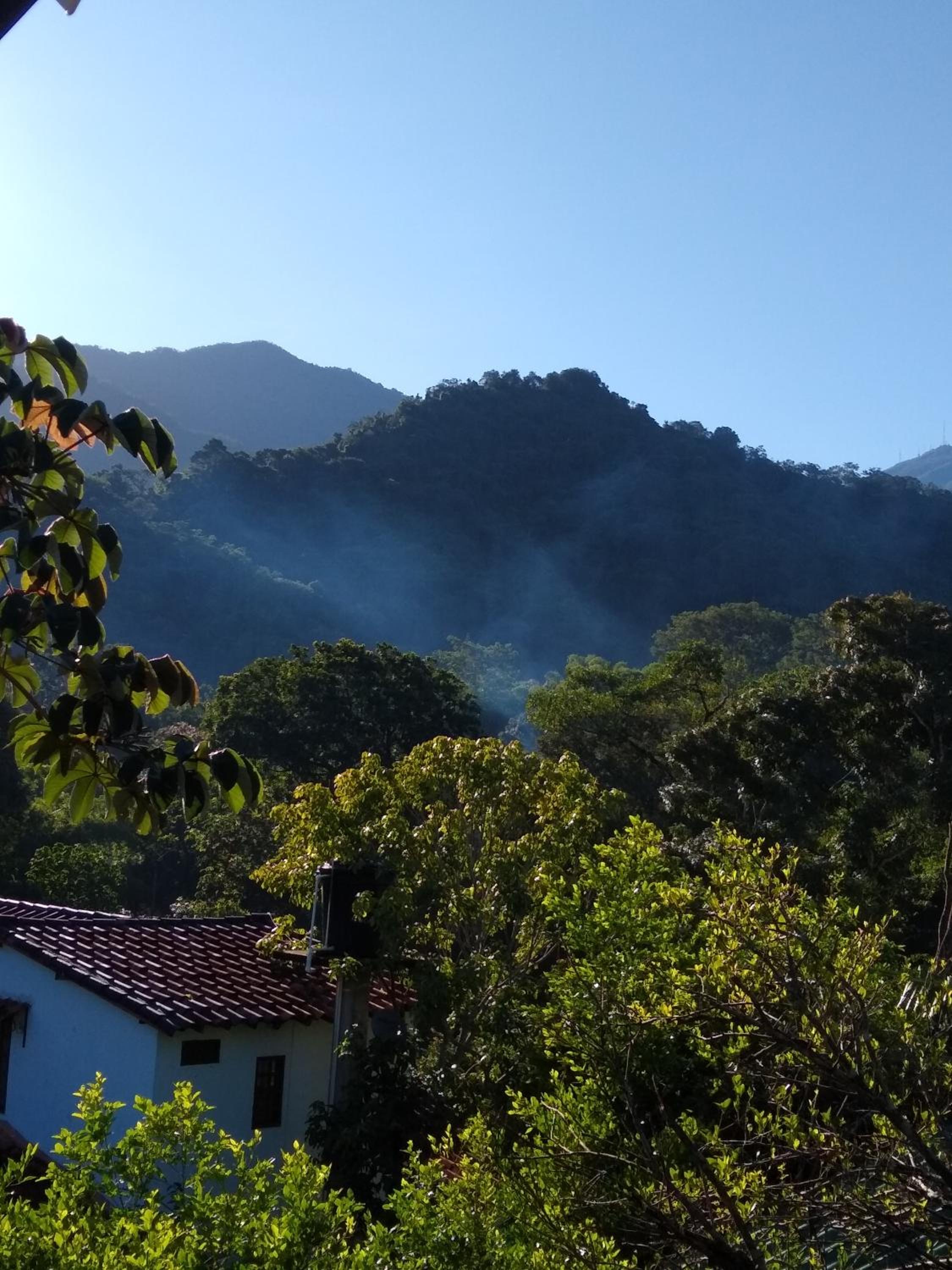 Bosque Azul Picaflor