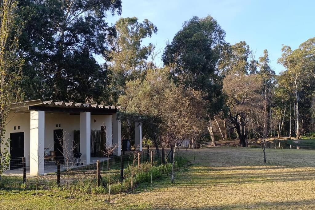 Photo 19