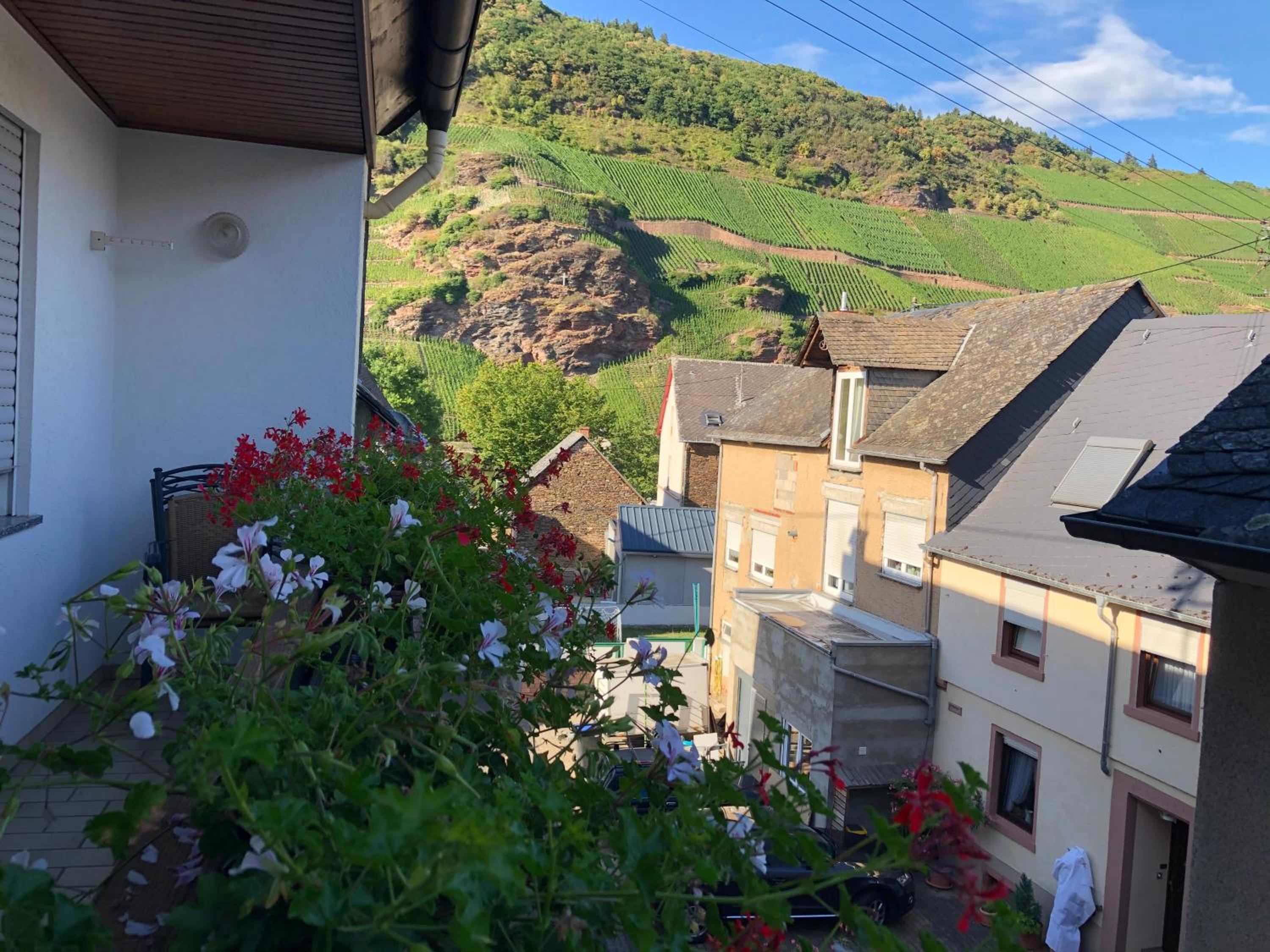 Winzerhaus im Oberdorf - FeWo u Zimmer - auch kombinierbar