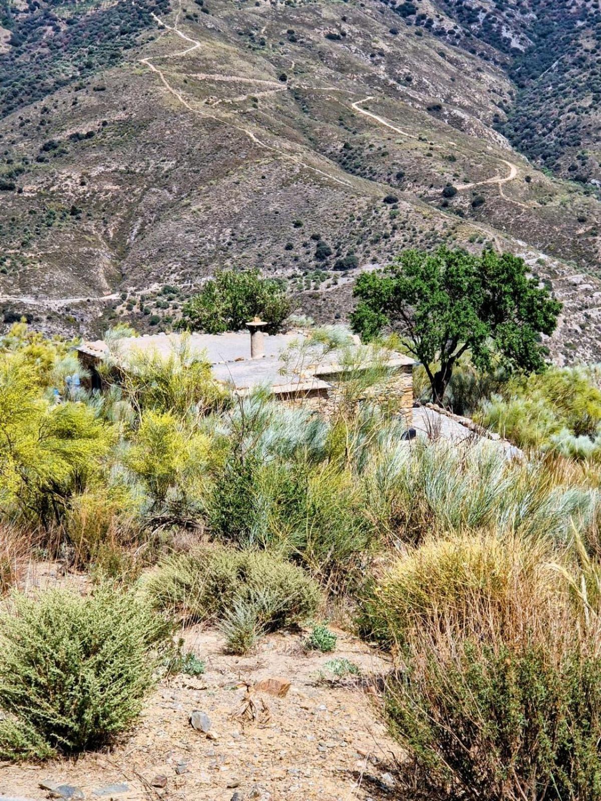 Cortijo La Vista