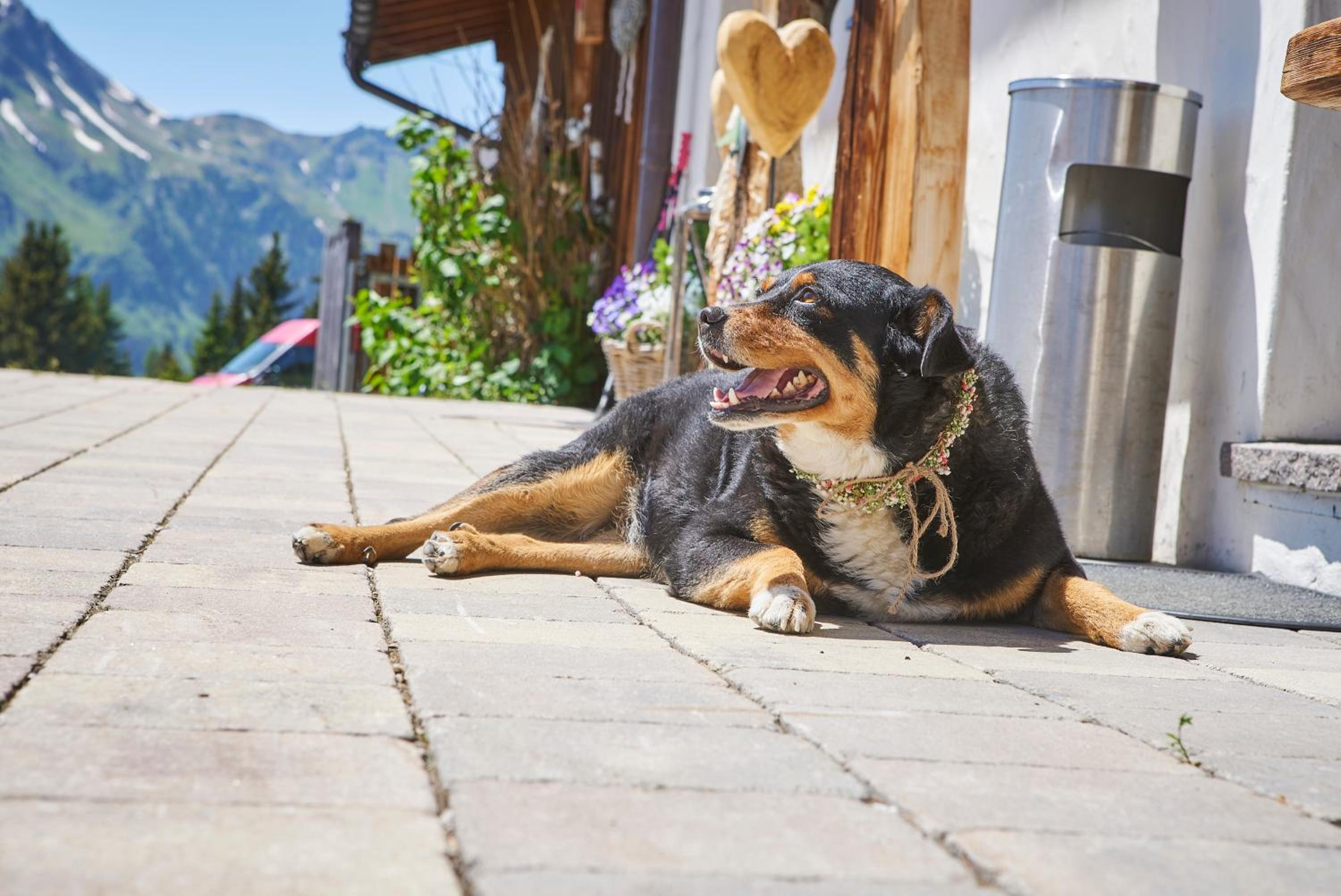 Wallegg Lodge - Alpine Premium Chalet - Ski In-Ski Out - Real Alpine Location Saalbach