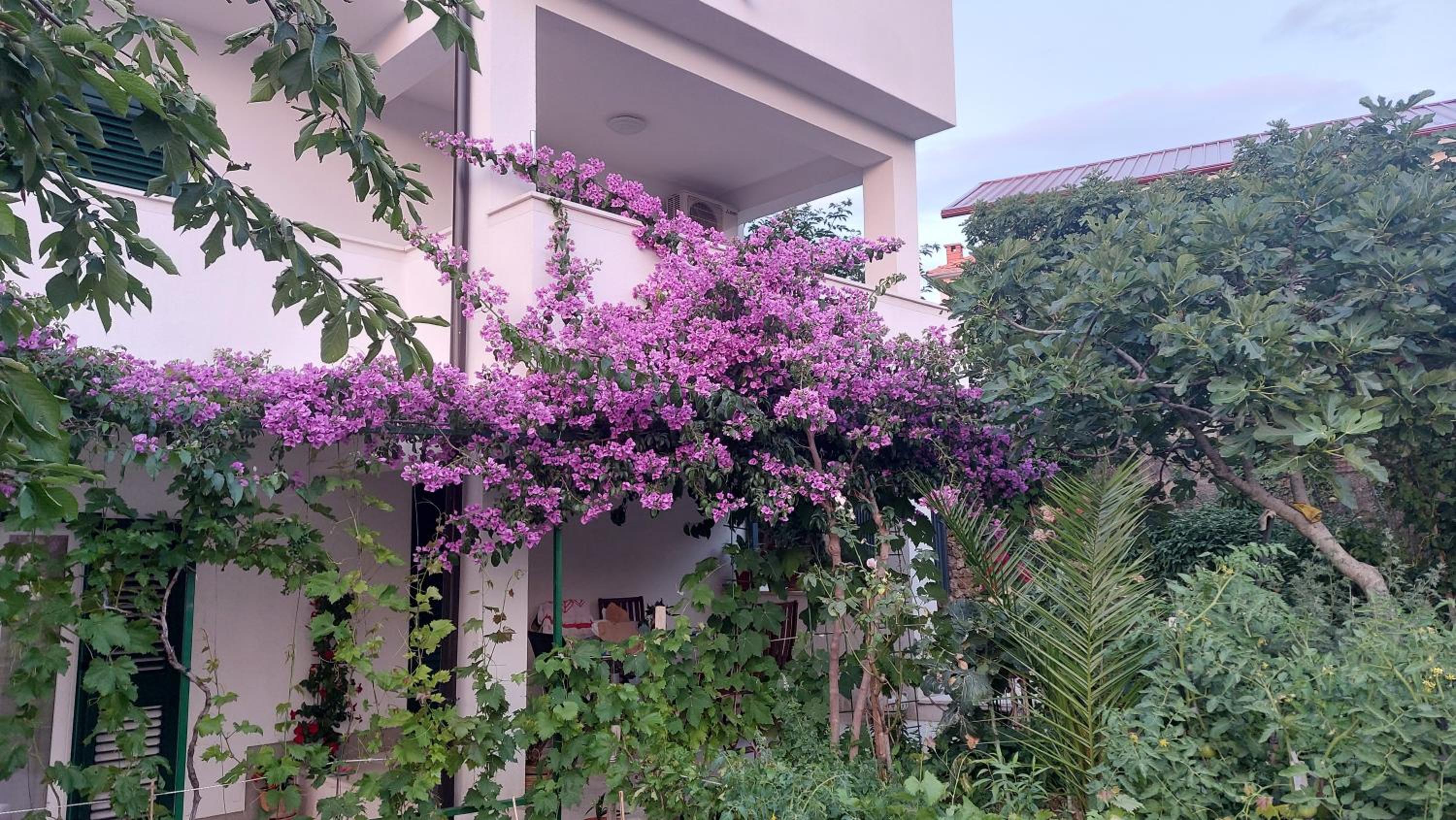 Hotel Apartments Plavi&Žuti - Image 1