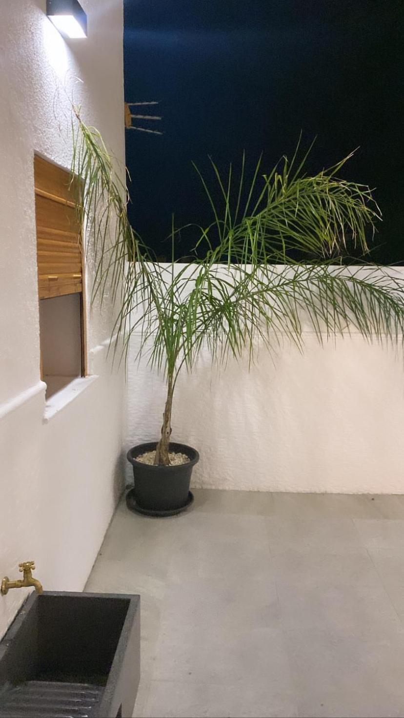Suites Benalup Centro