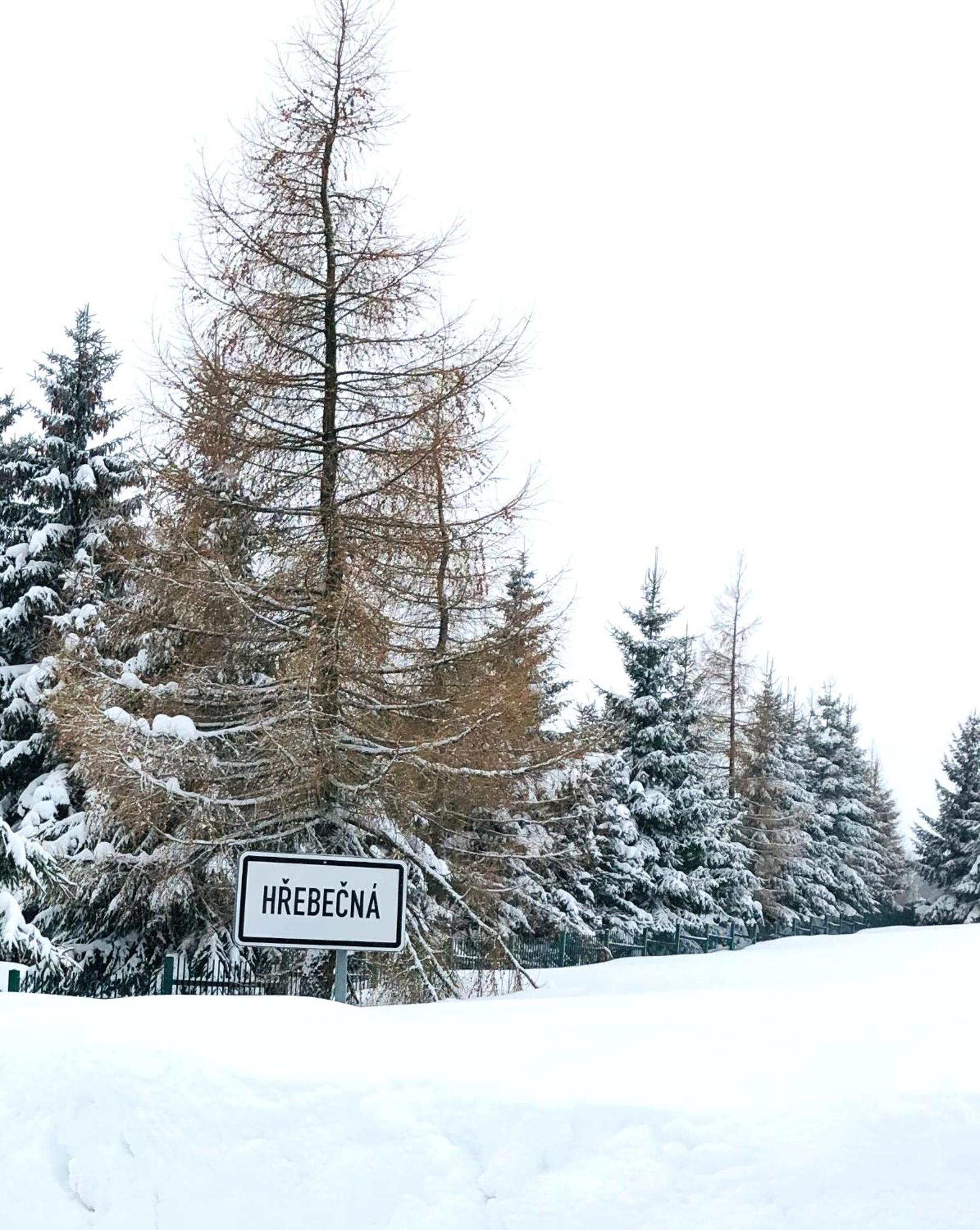 Penzion U Můstku Hřebečná