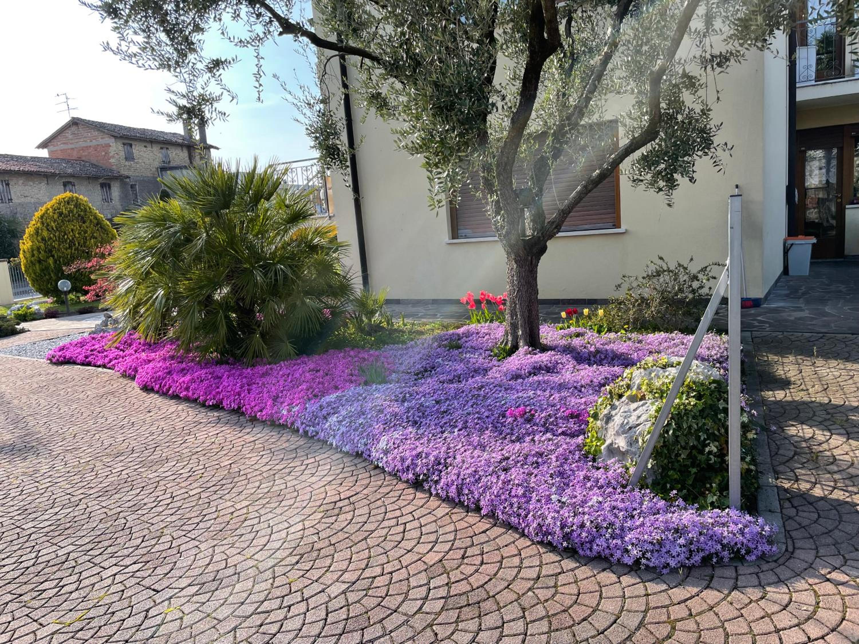 Rifugio Primavera