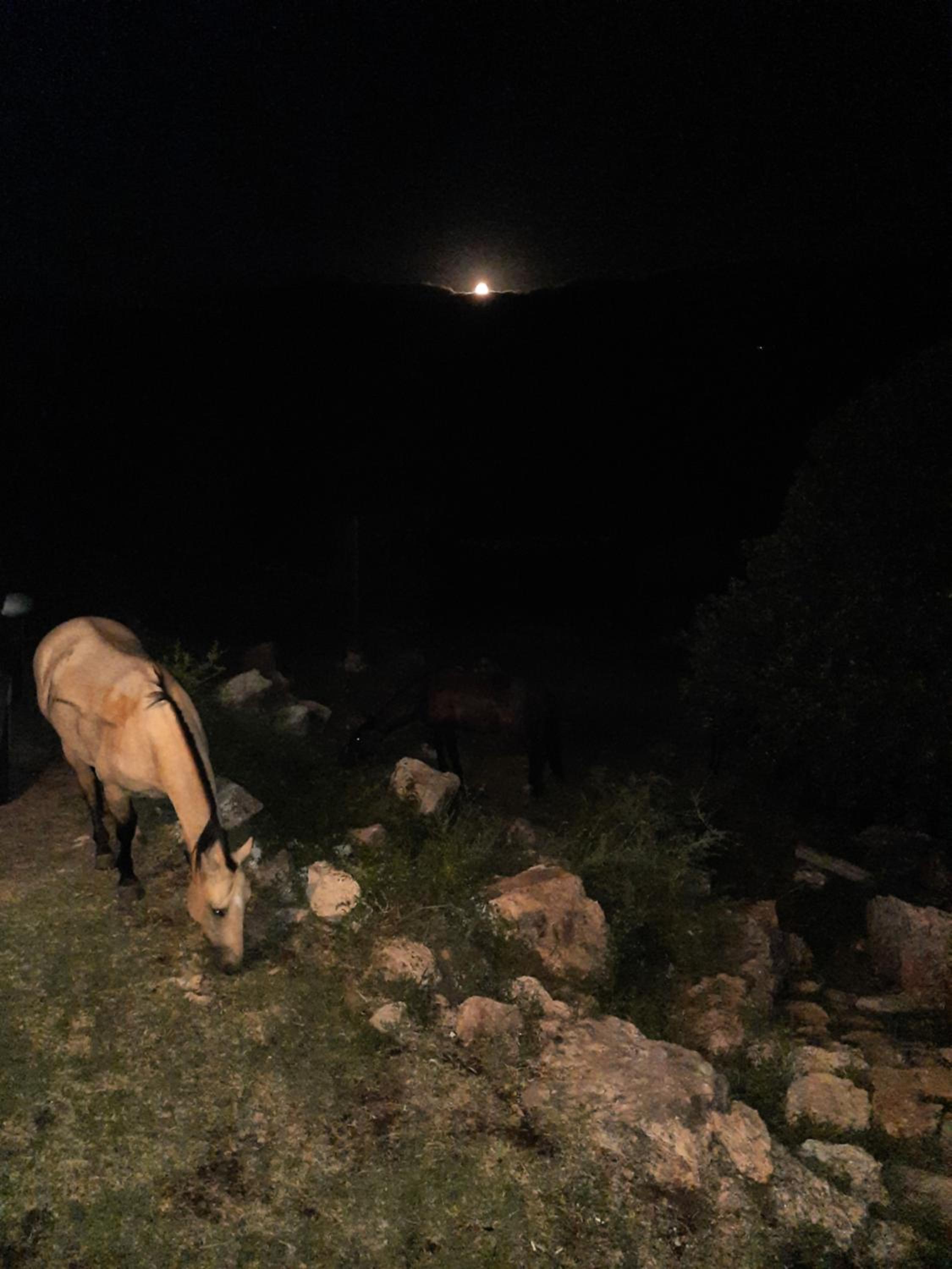 Cabaña de Montaña, La Casita Mina Clavero CBA