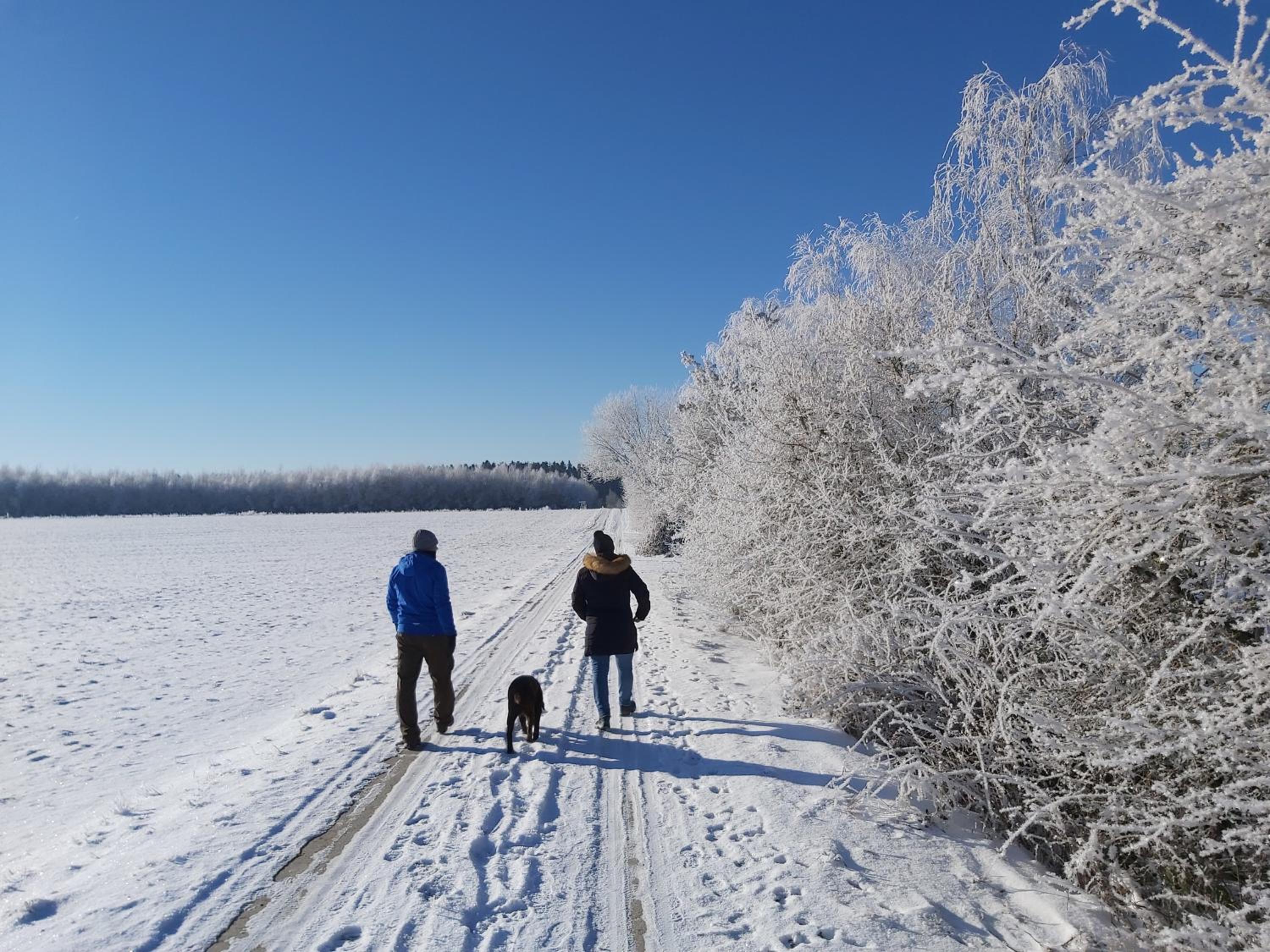 Ferienhäuser Schneeberger