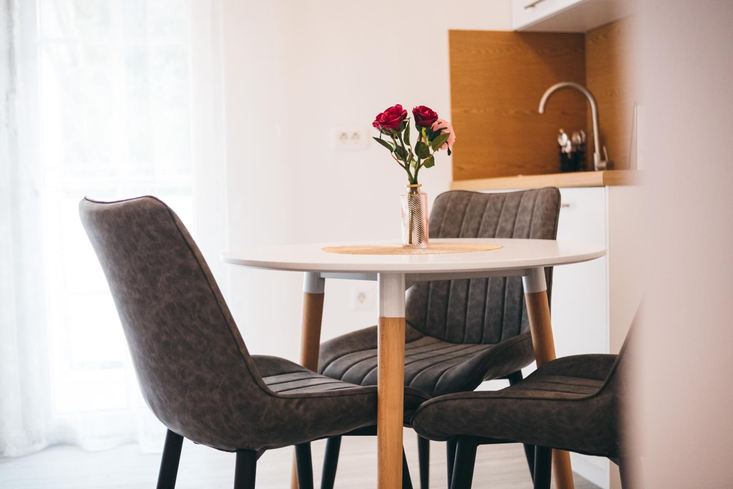 Elegant Studio Apartments Lasta