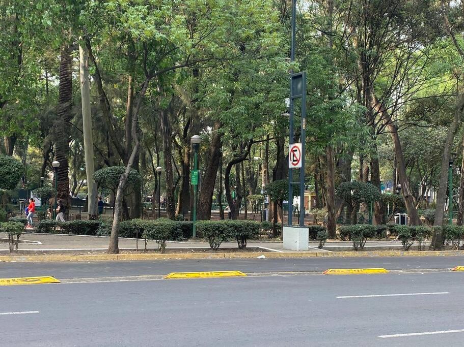 Cozy depa w/amenities Condesa view 4