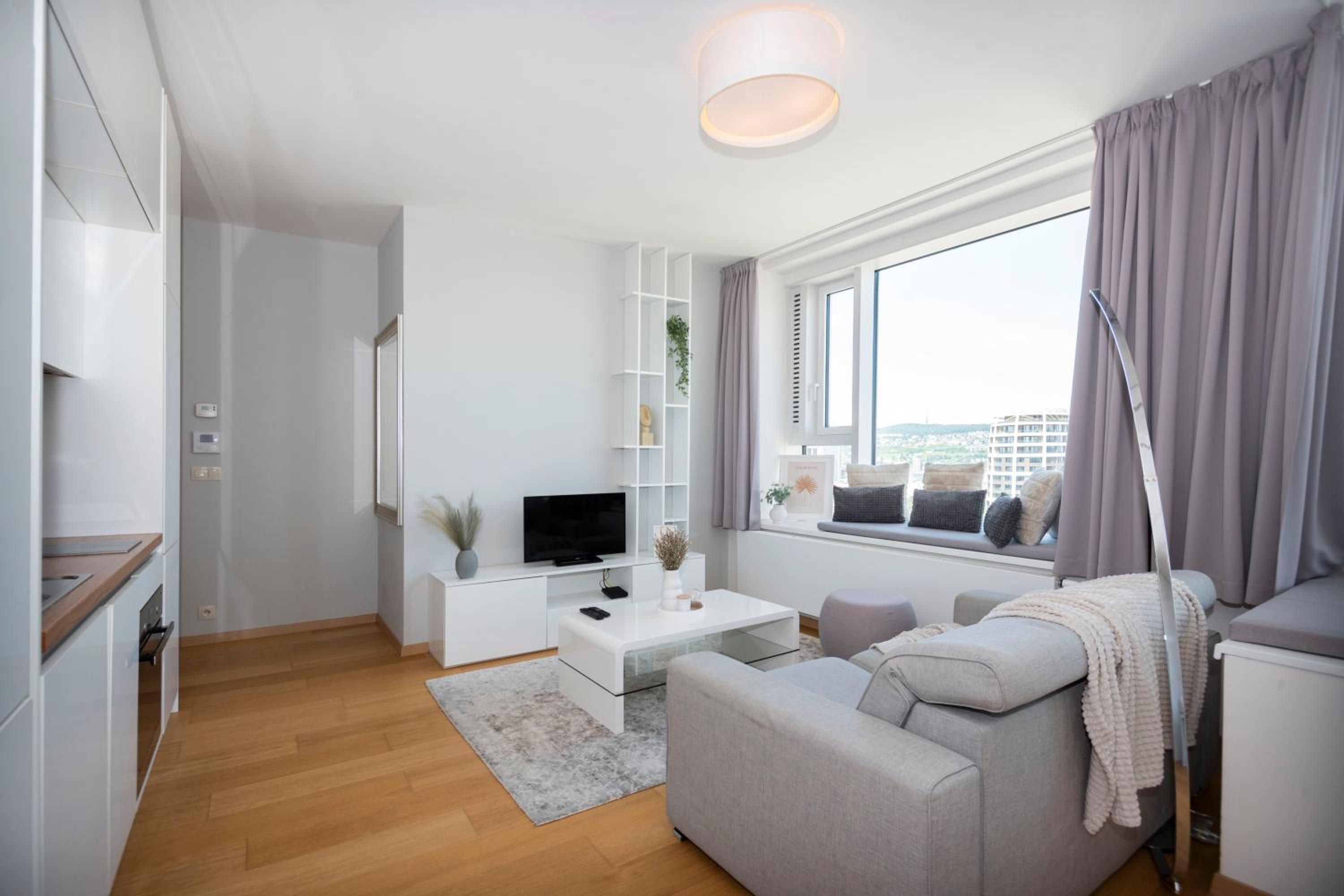 28th floor Luxury Skyline 1BDRM Apartment - Downtown City center view 5