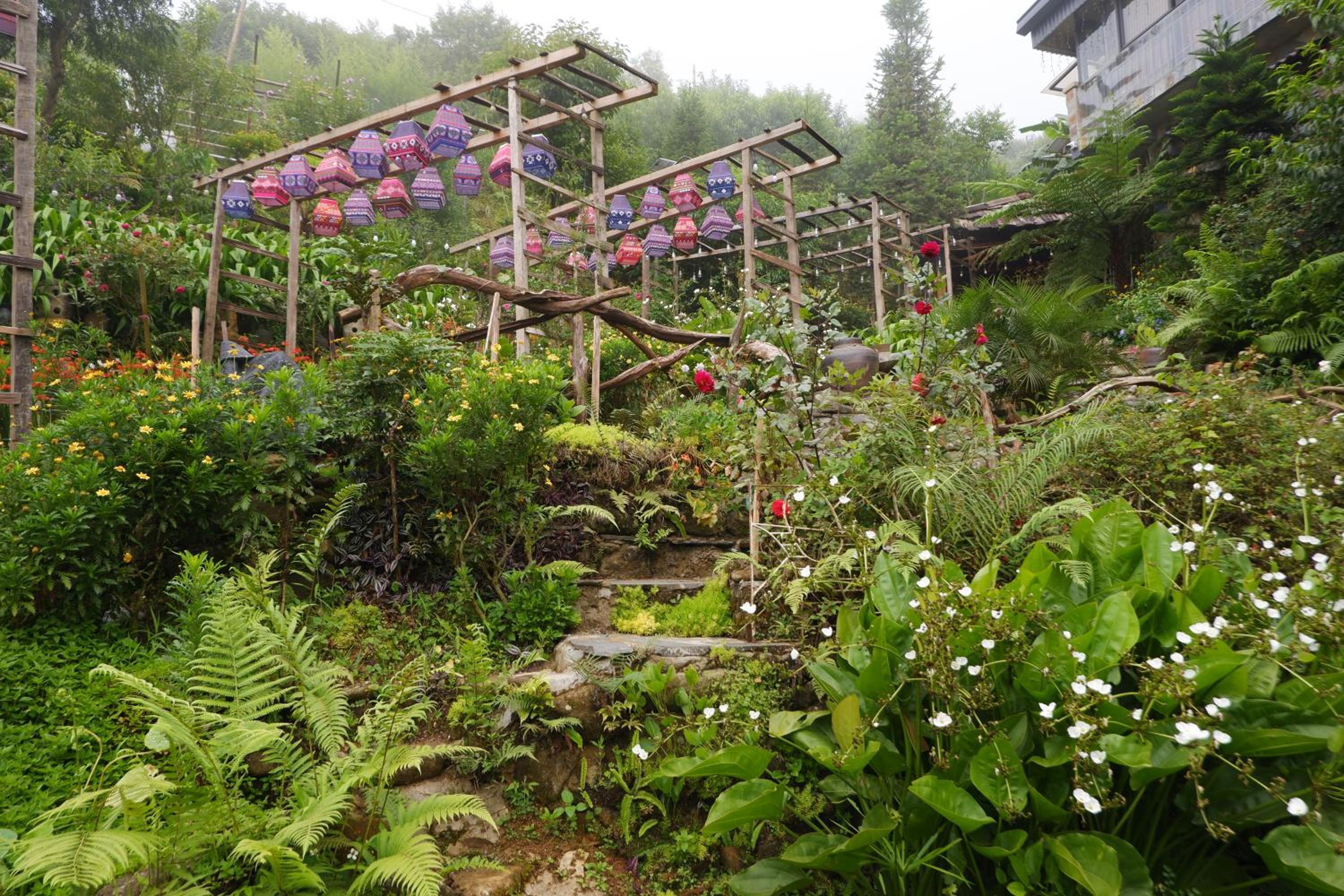 Photo 11
