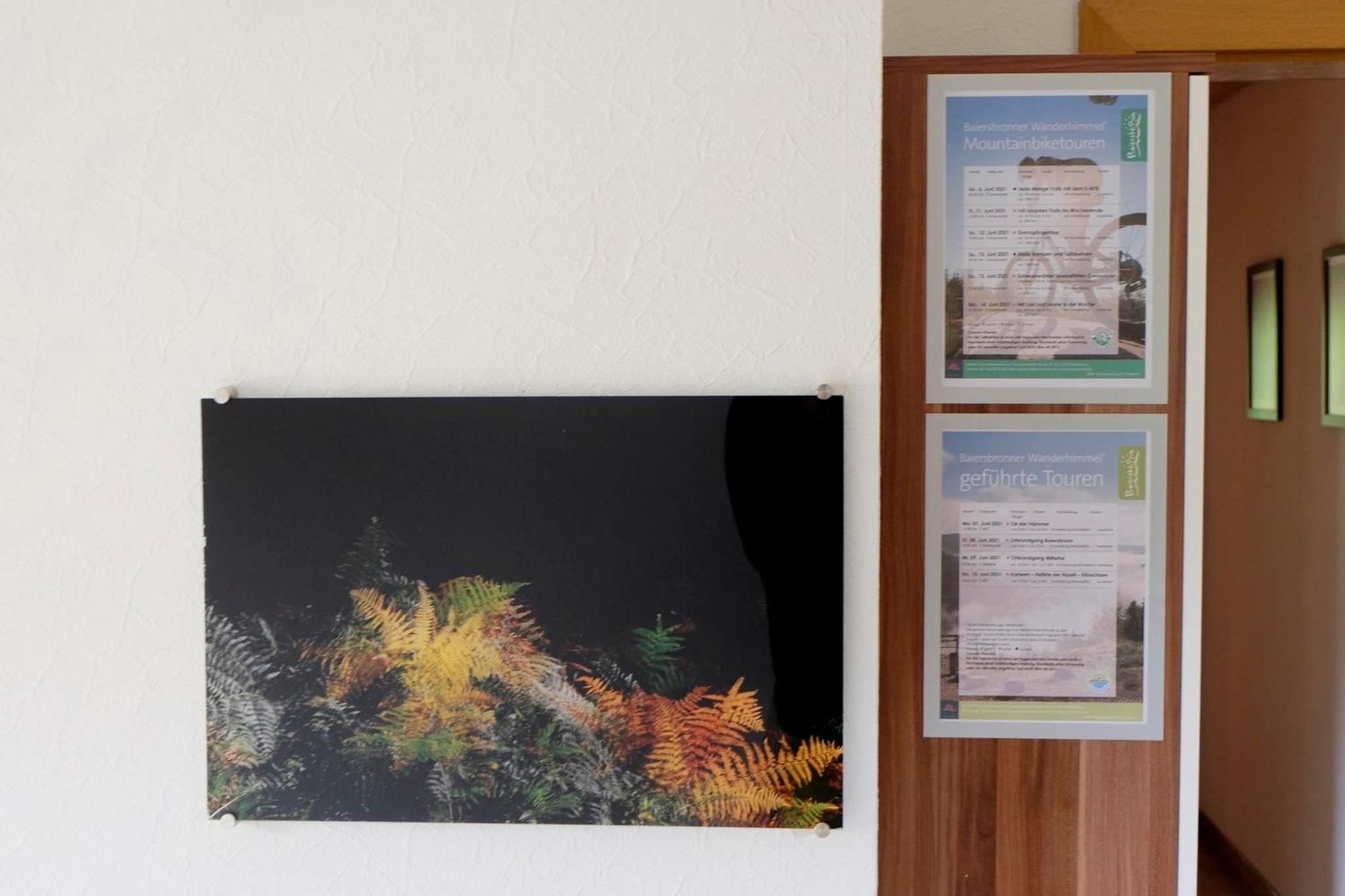 SchwarzWild - Ferienwohnung und Ferienzimmer