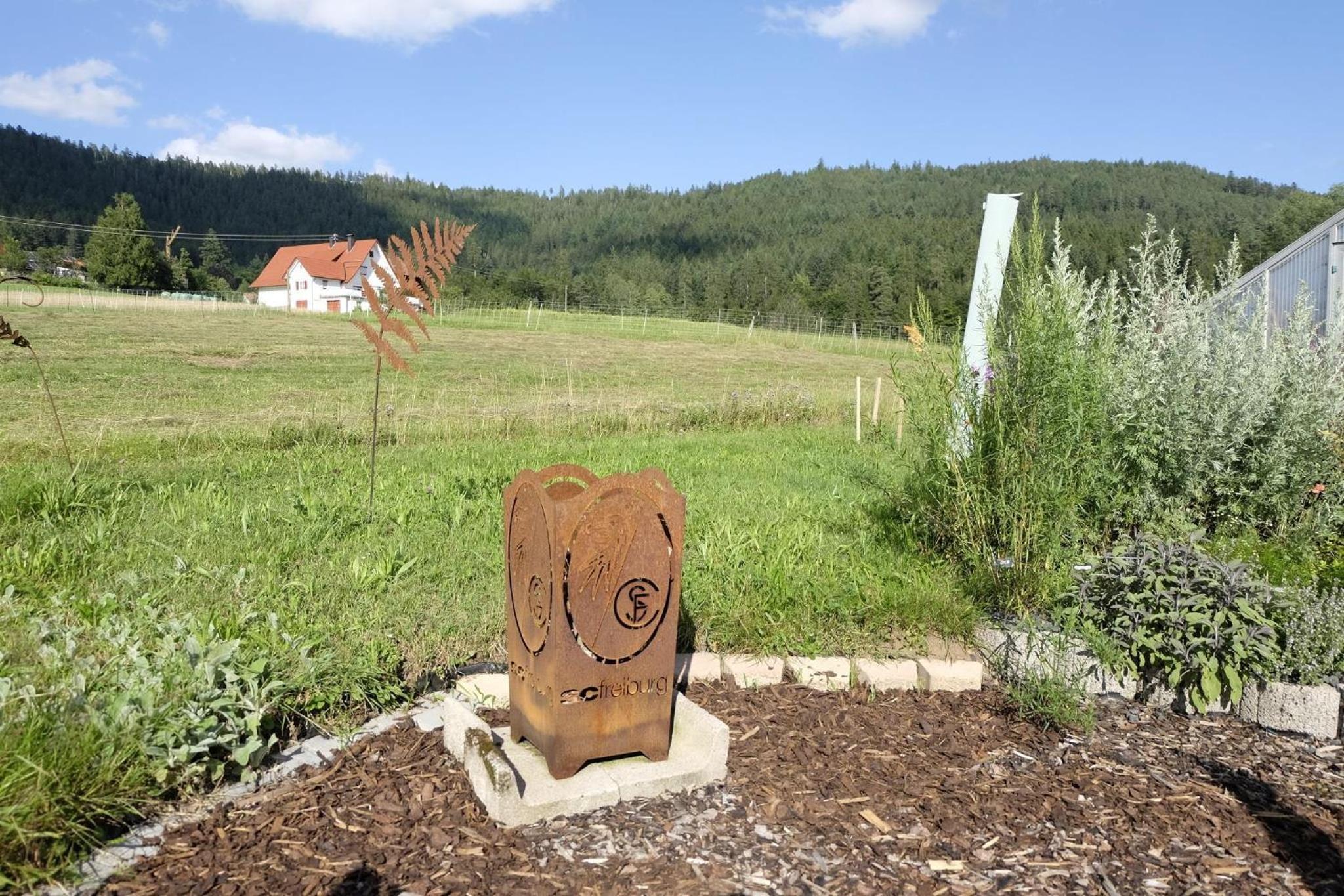 SchwarzWild - Ferienwohnung und Ferienzimmer
