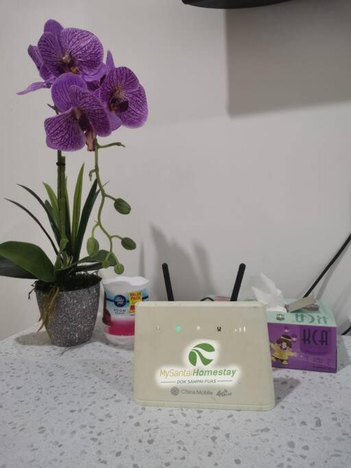 MySantai Homestay Padang Serai