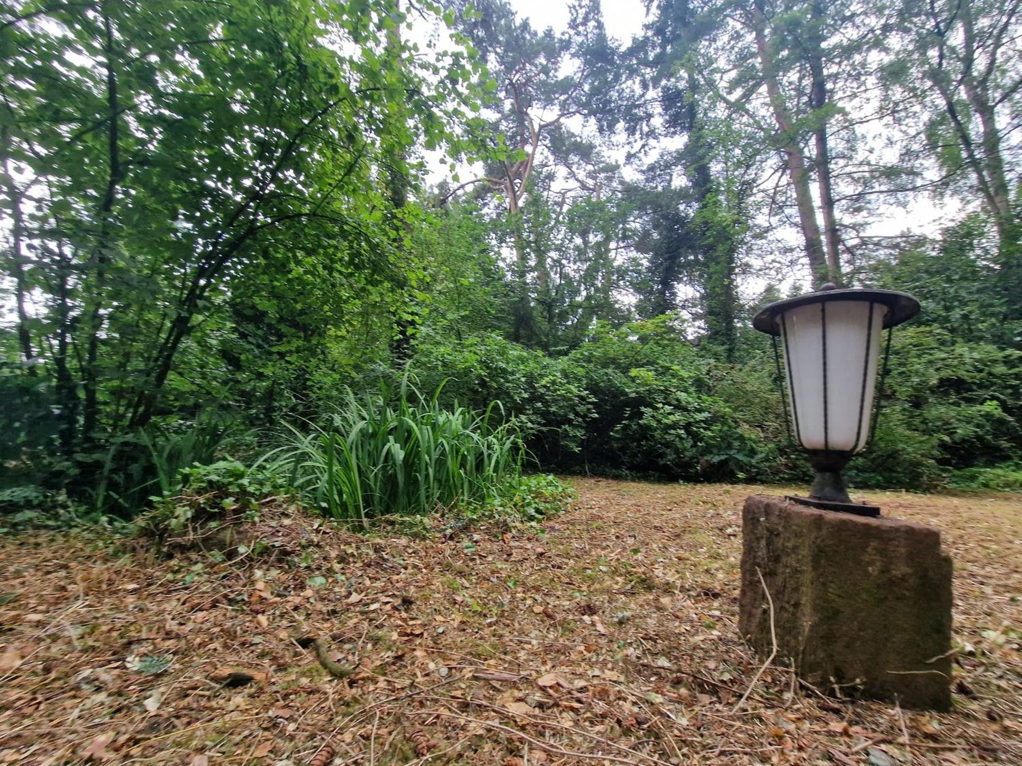 Ferienhaus Thymian in Hatten bei Oldenburg - Idyllische Waldlage