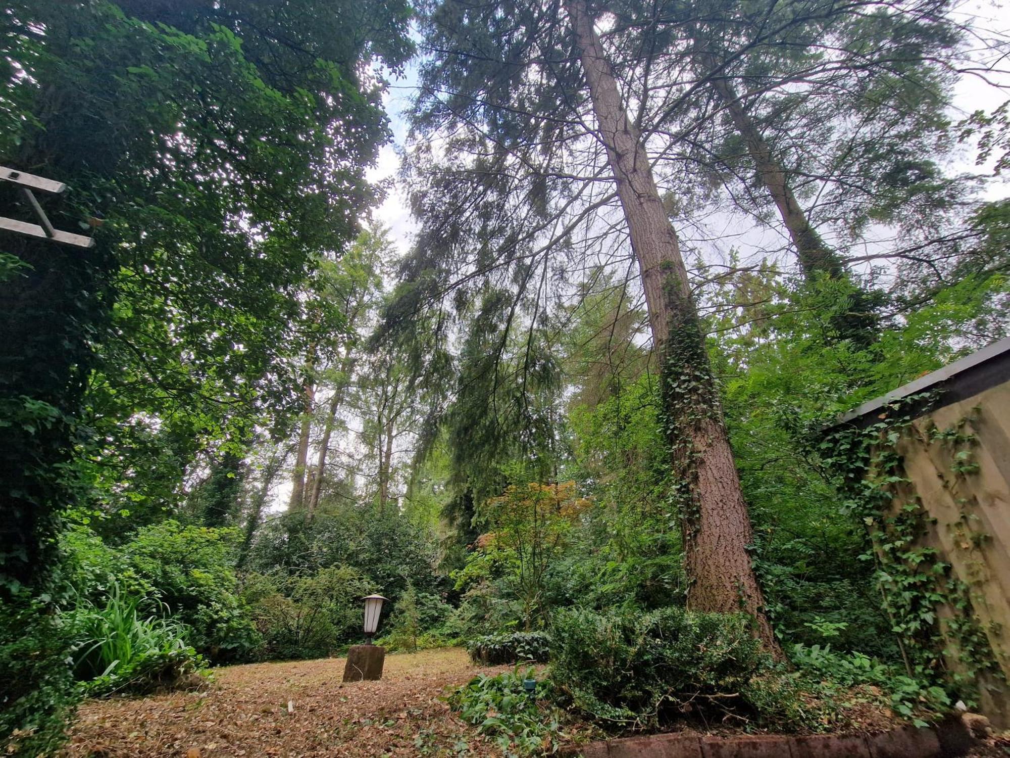 Ferienhaus Thymian in Hatten bei Oldenburg - Idyllische Waldlage