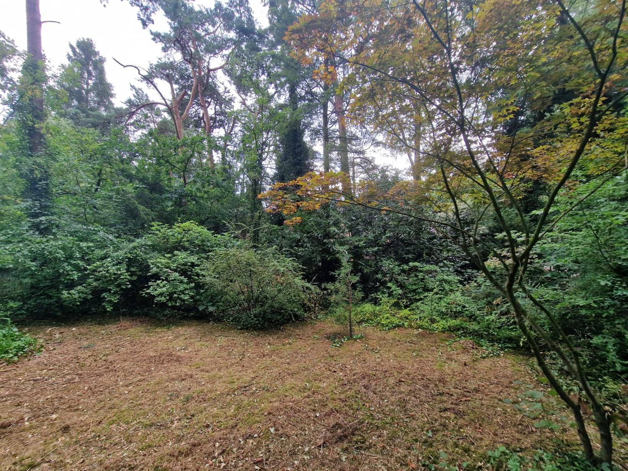 Ferienhaus Thymian in Hatten bei Oldenburg - Idyllische Waldlage