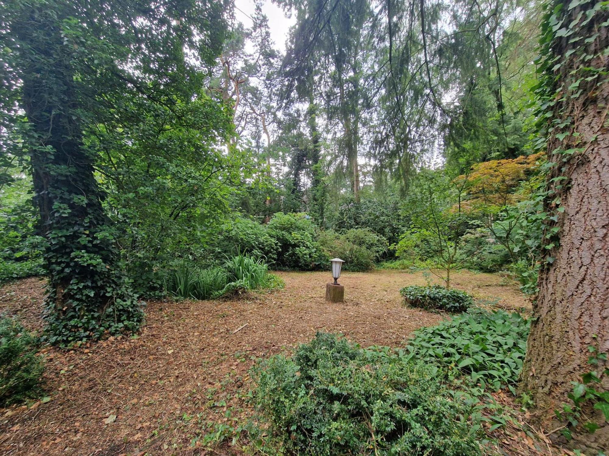Ferienhaus Thymian in Hatten bei Oldenburg - Idyllische Waldlage