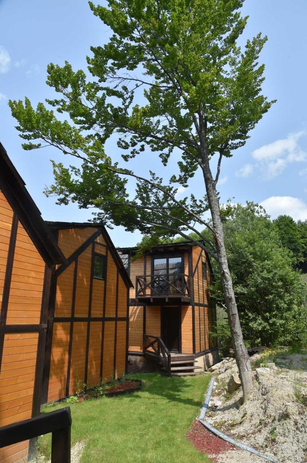 Villa Prive and Spa