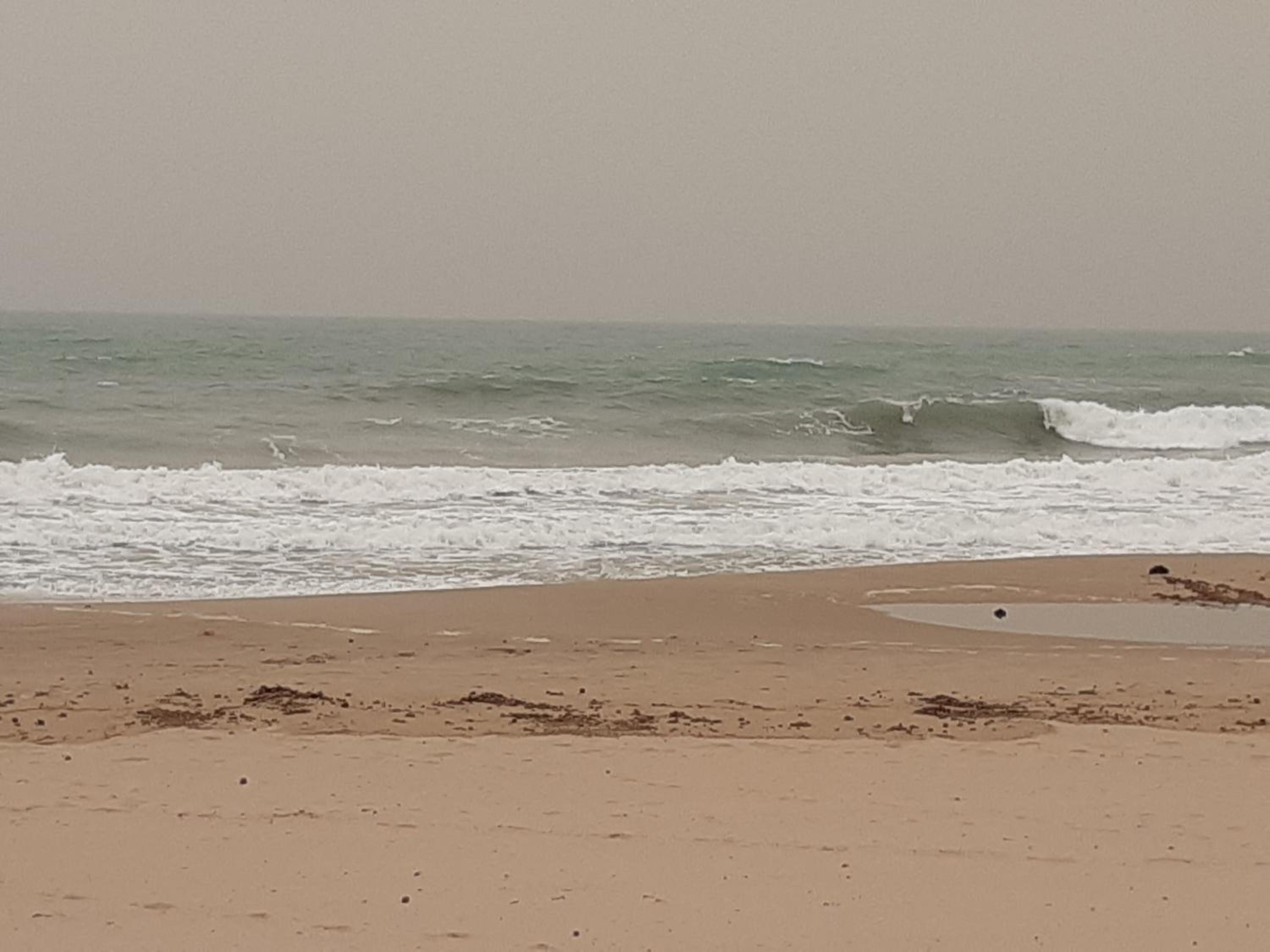 La Bella Almadraba