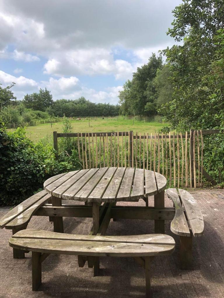 De Weide - Camping Botniahiem - Damwoude view 4