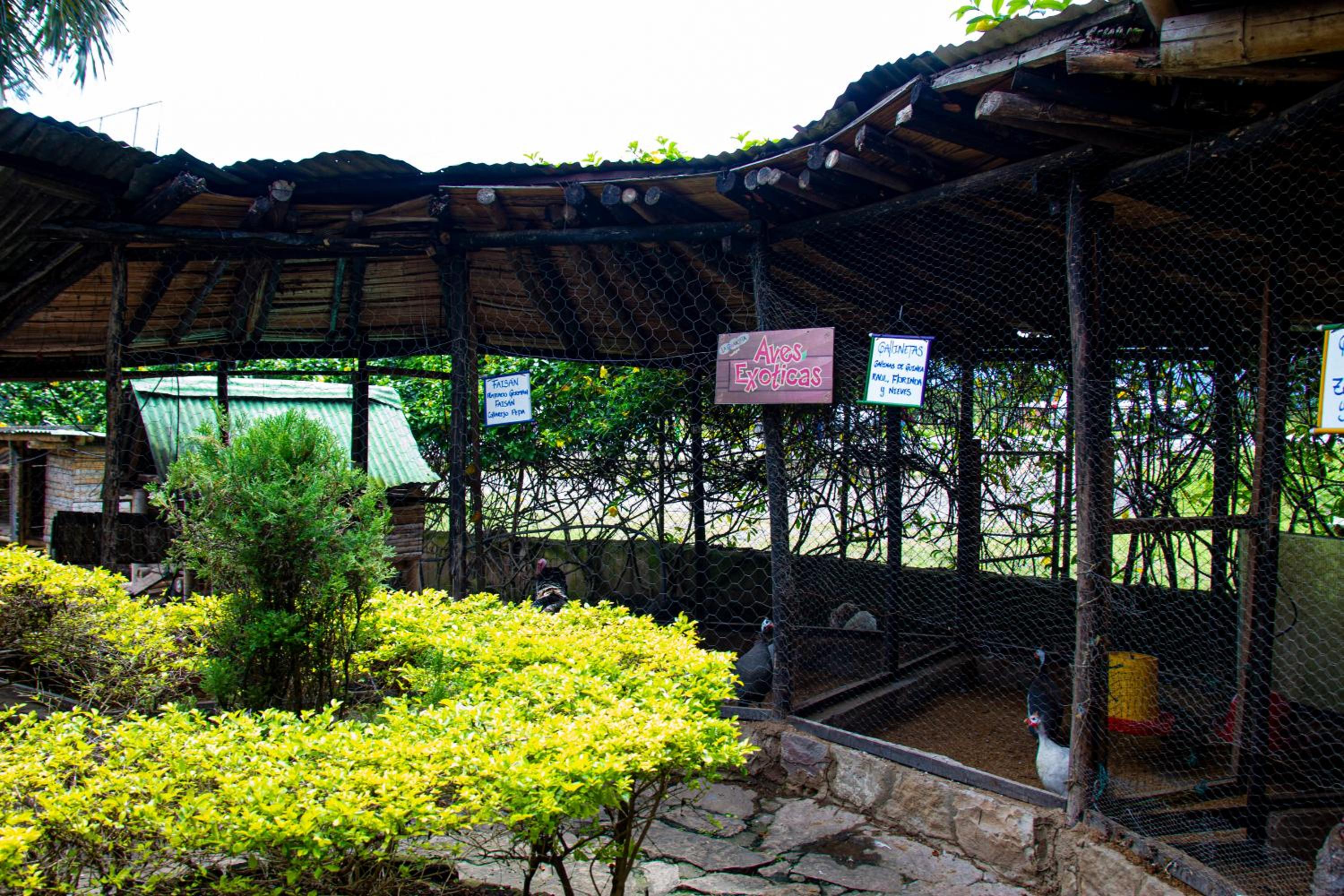 CABAÑA FAMILIAR en EcoparqueChinauta, PISCINA, GRANJA, JUEGOS, PESCA, RESTAURANTE