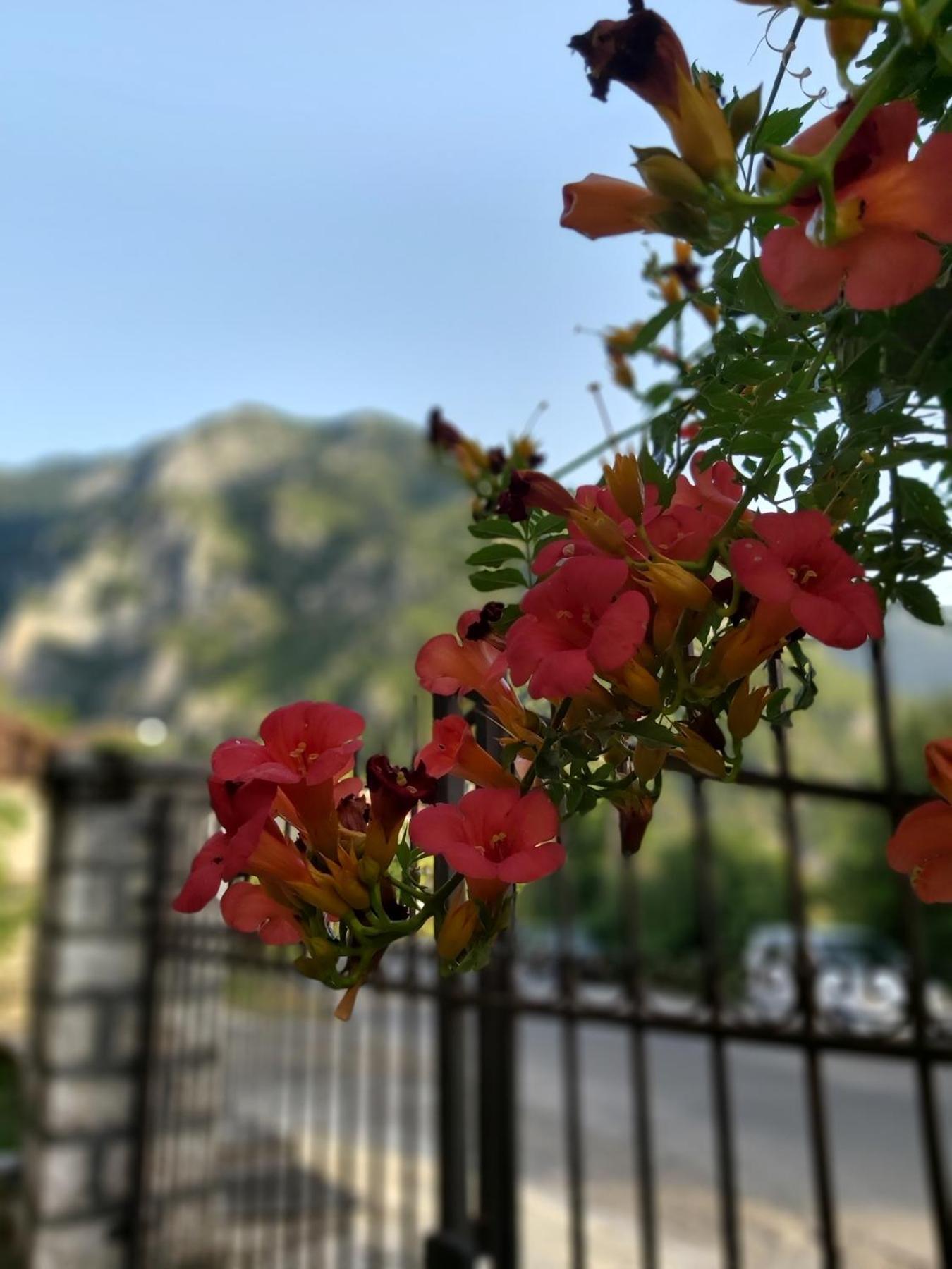 Potamolithos Suites