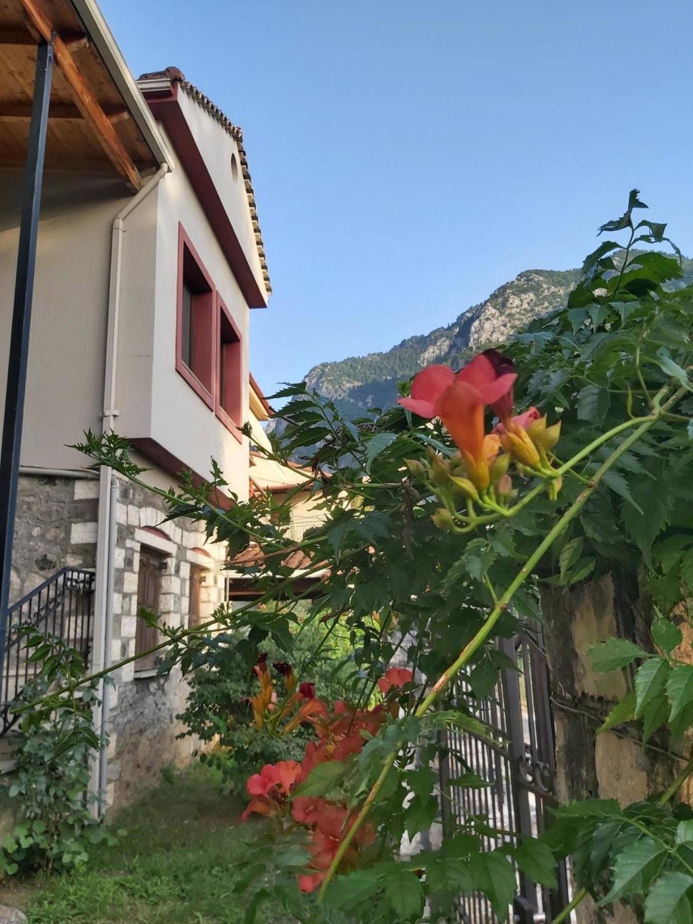 Potamolithos Suites