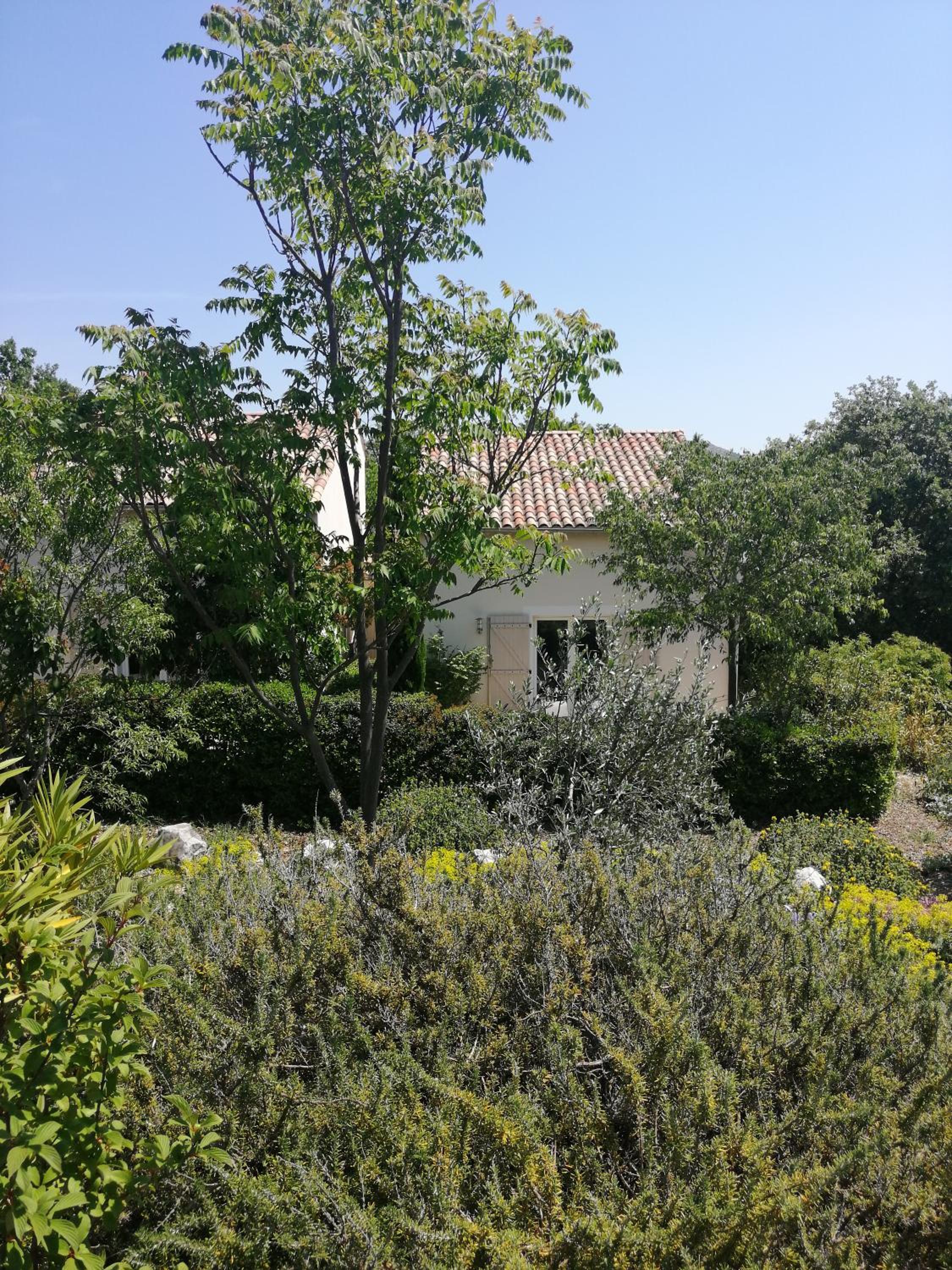 Photo 43