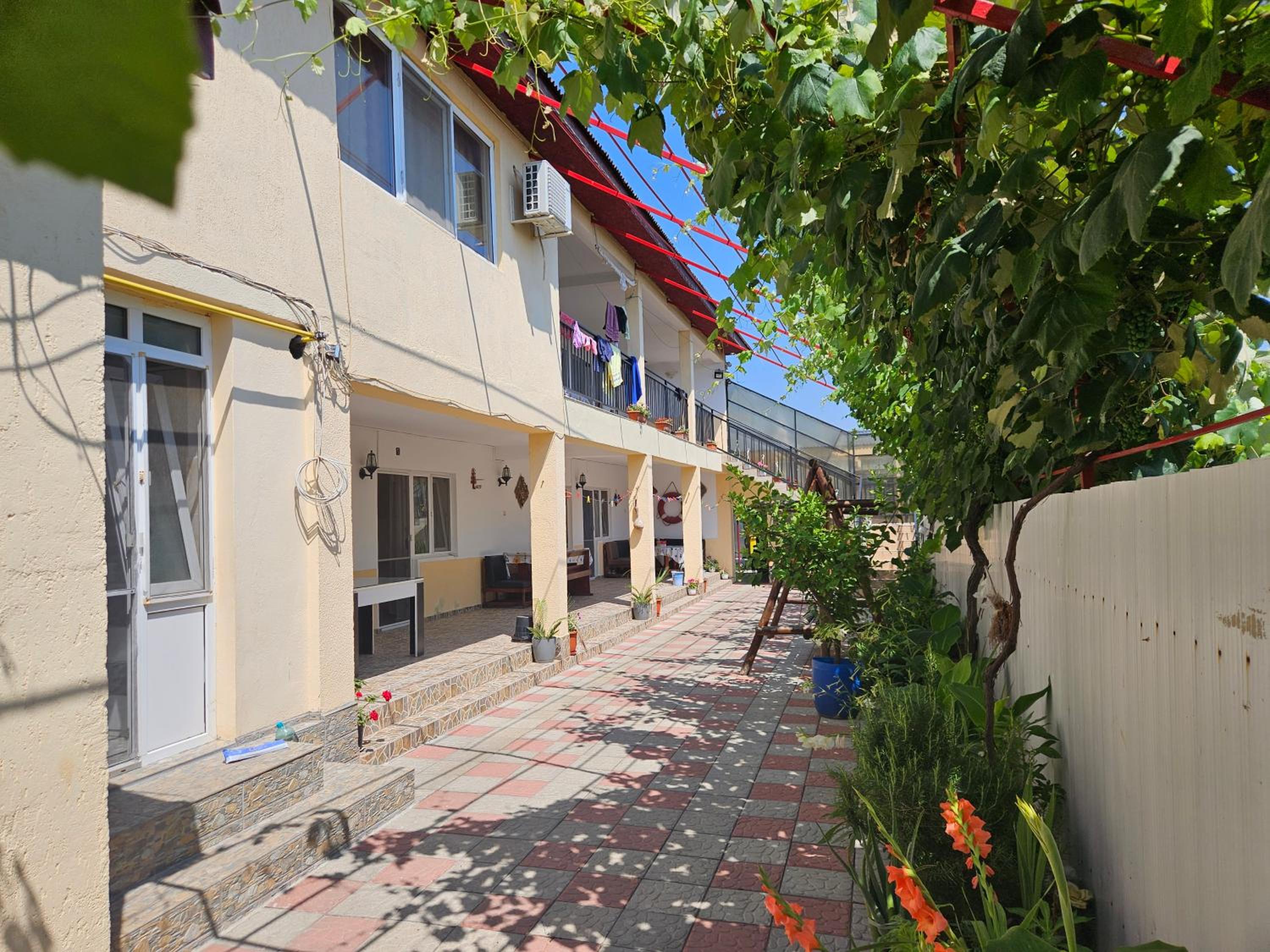 Photo 6