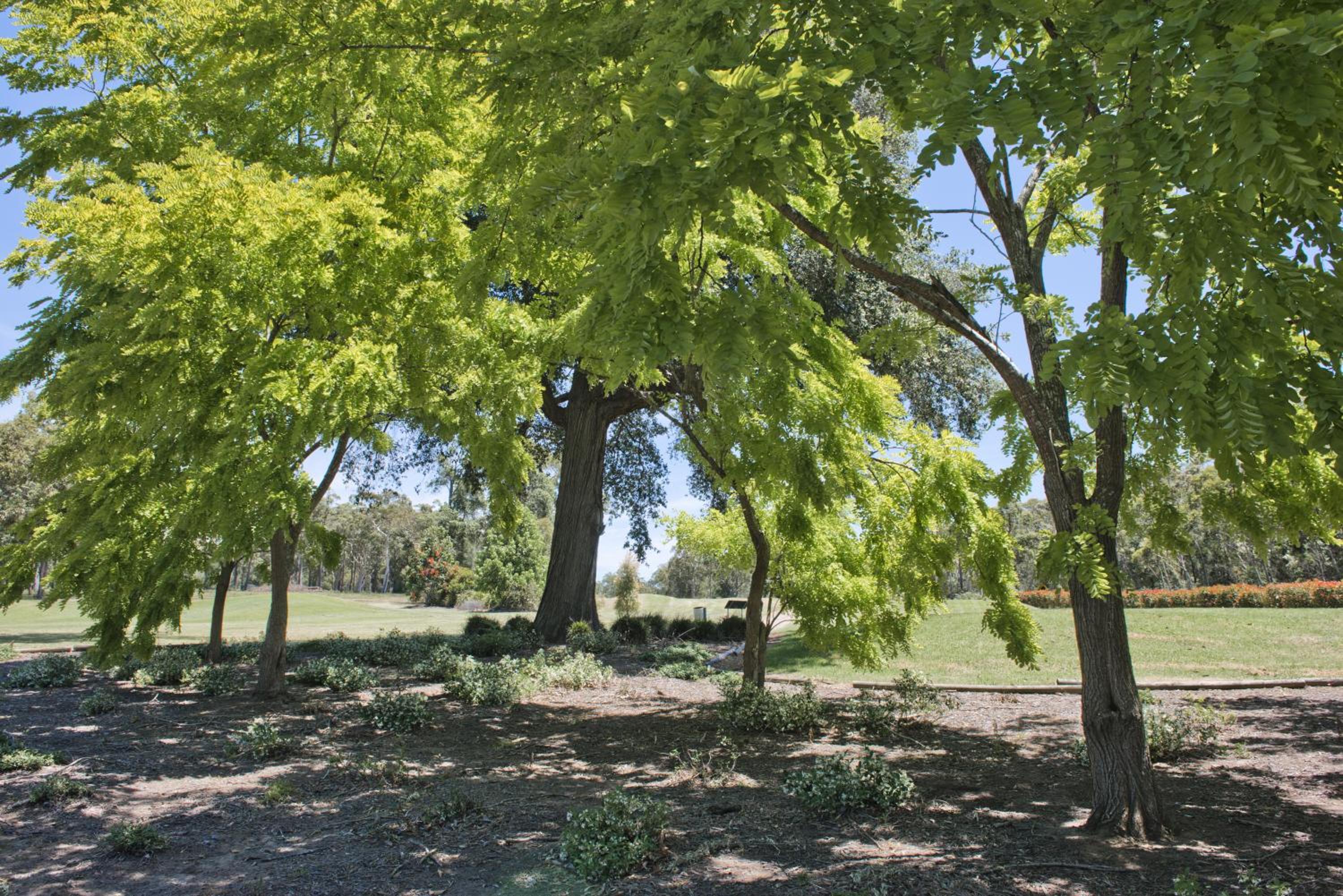 Photo 27