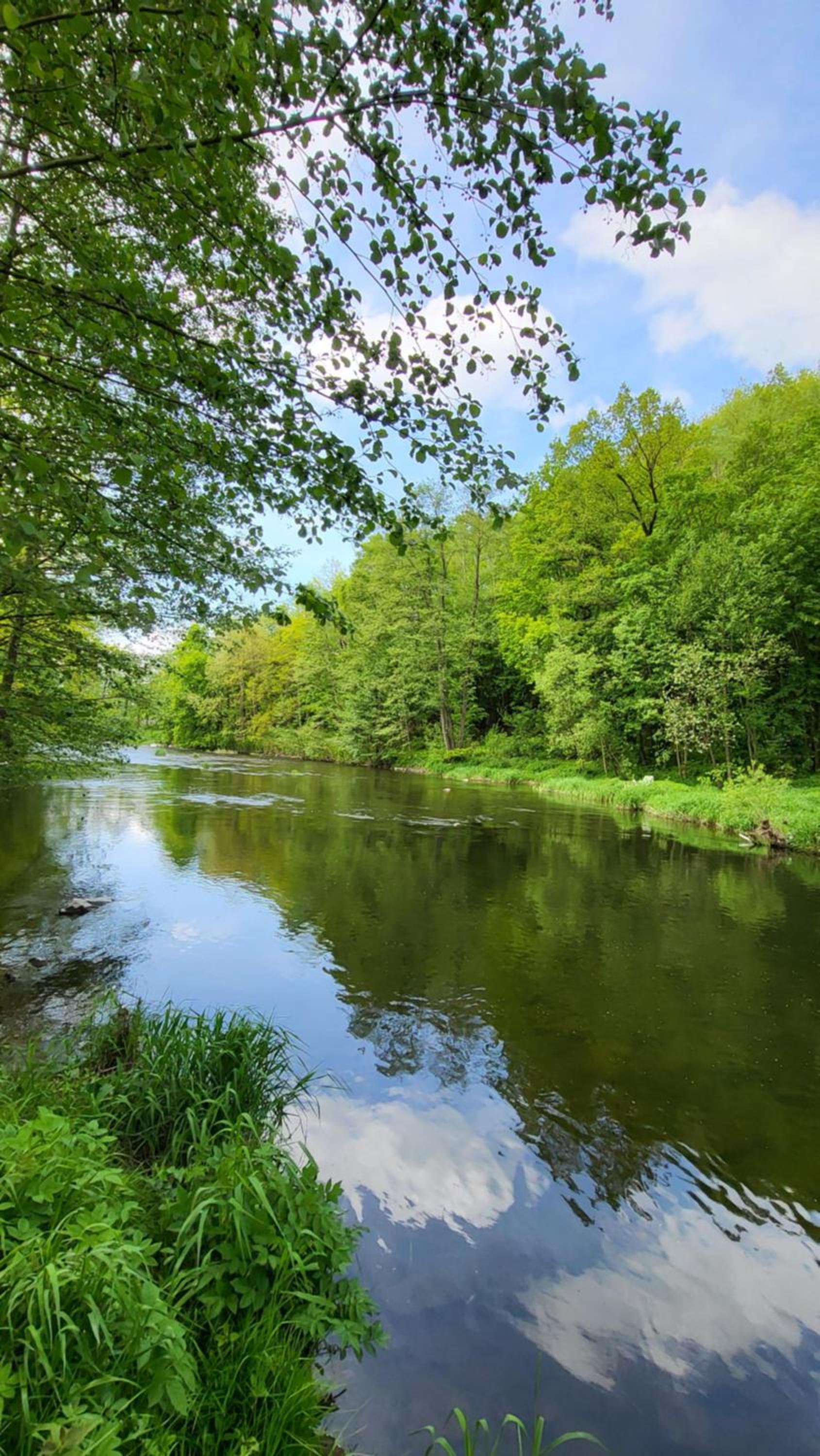 Urlaub auf dem Bauernhof