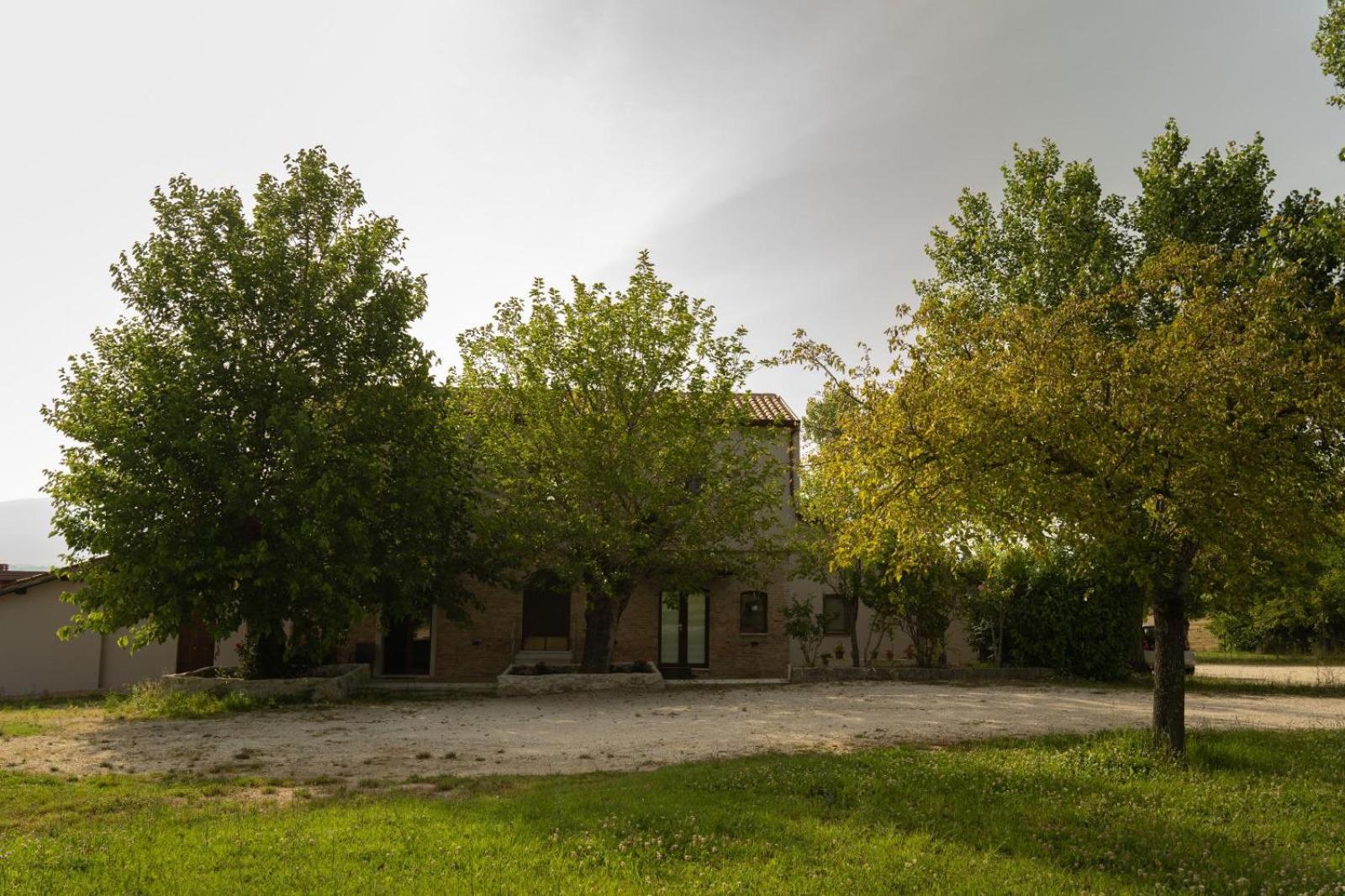 Photo 24