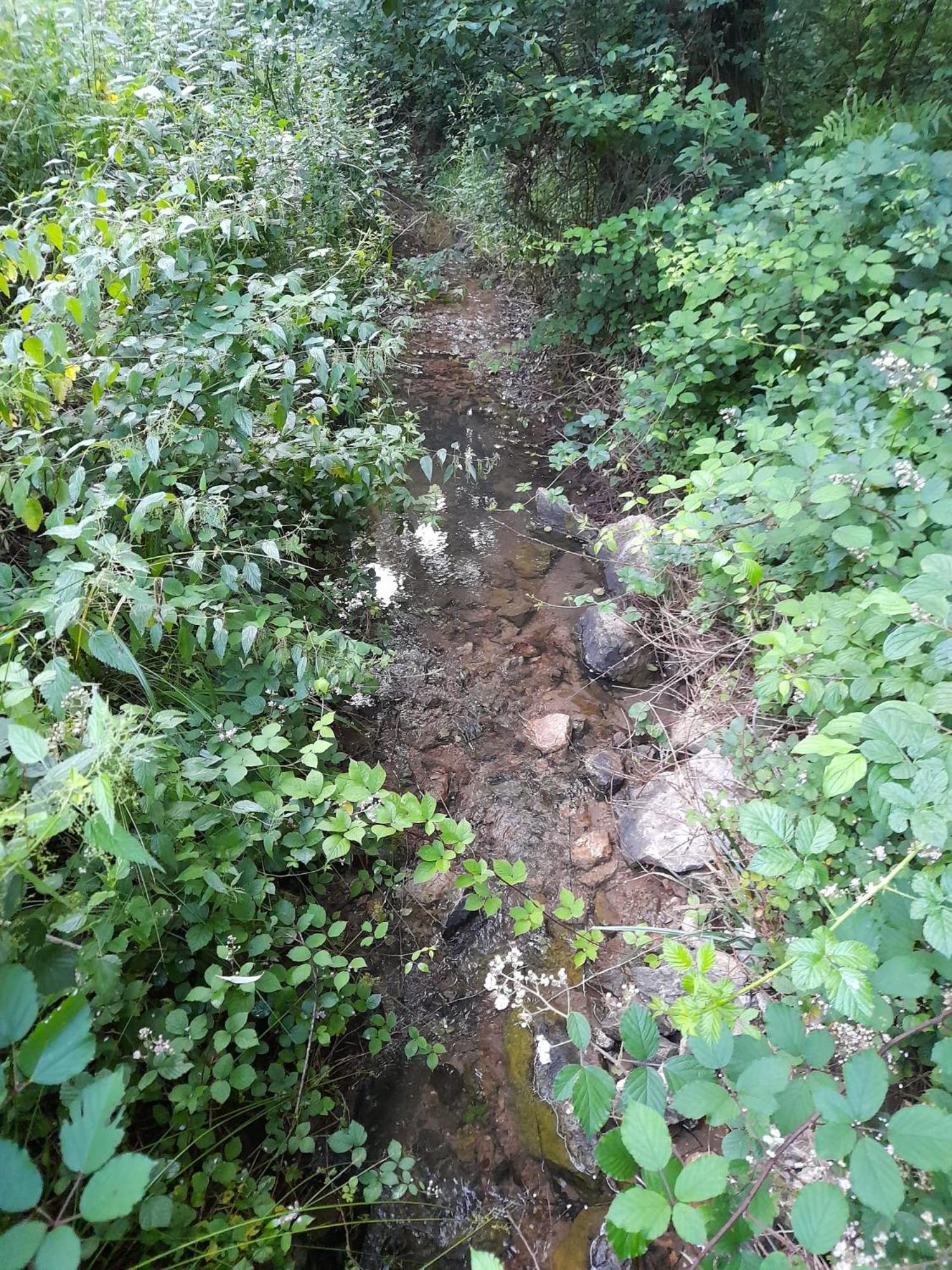 Photo 48