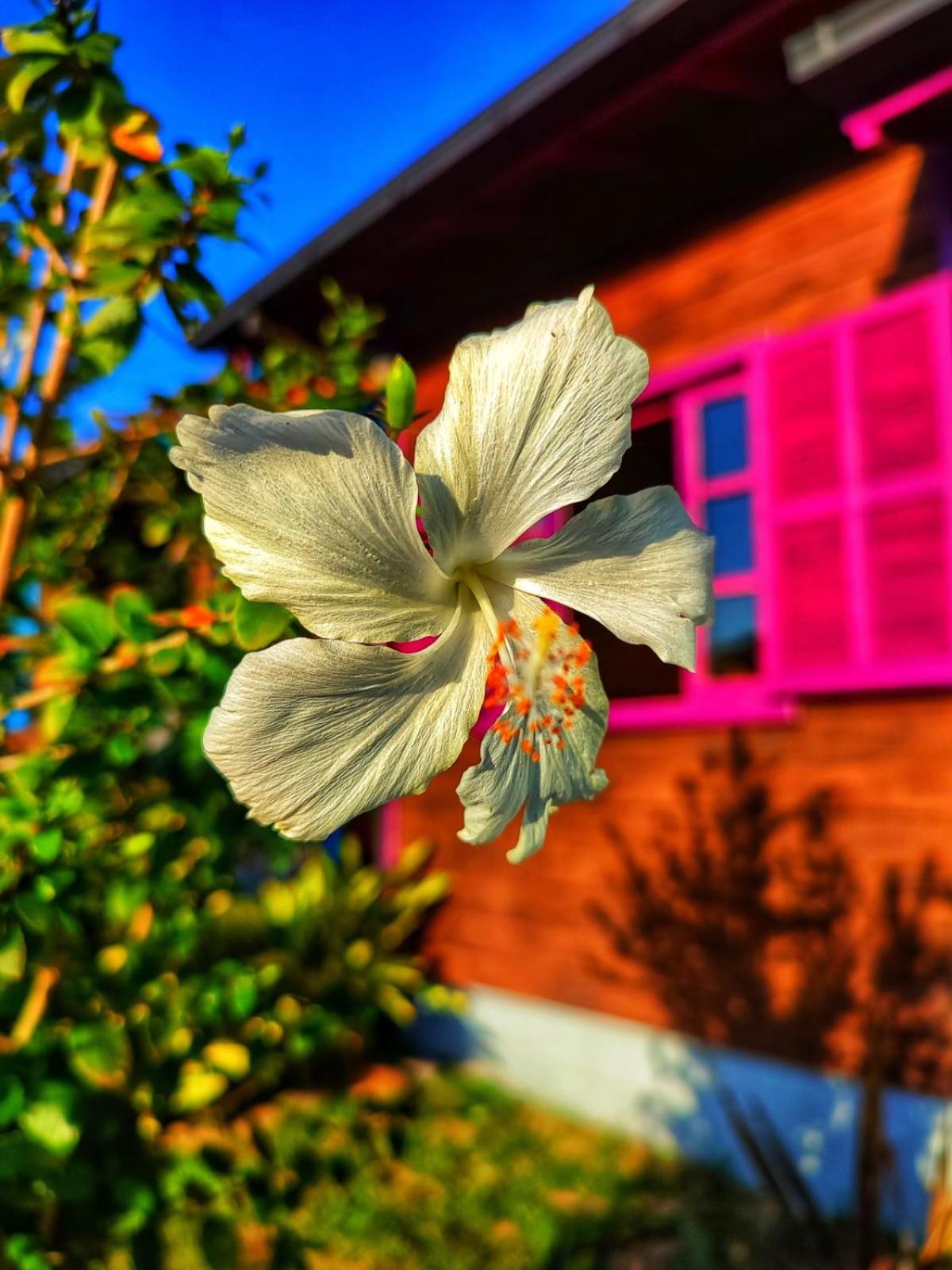Prana Guest House
