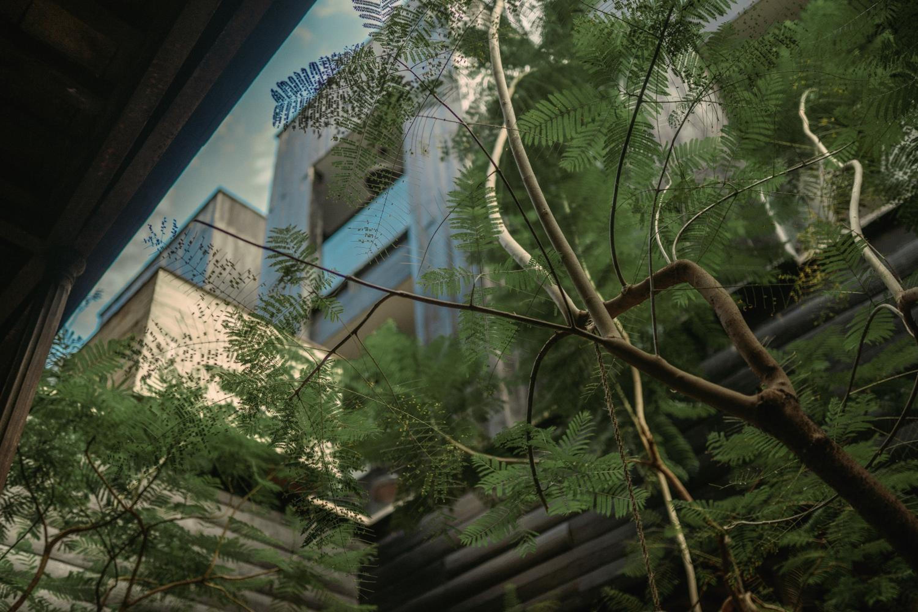 Hotel Elena de Cobre, Leon, a Member of Design Hotels - Image 1