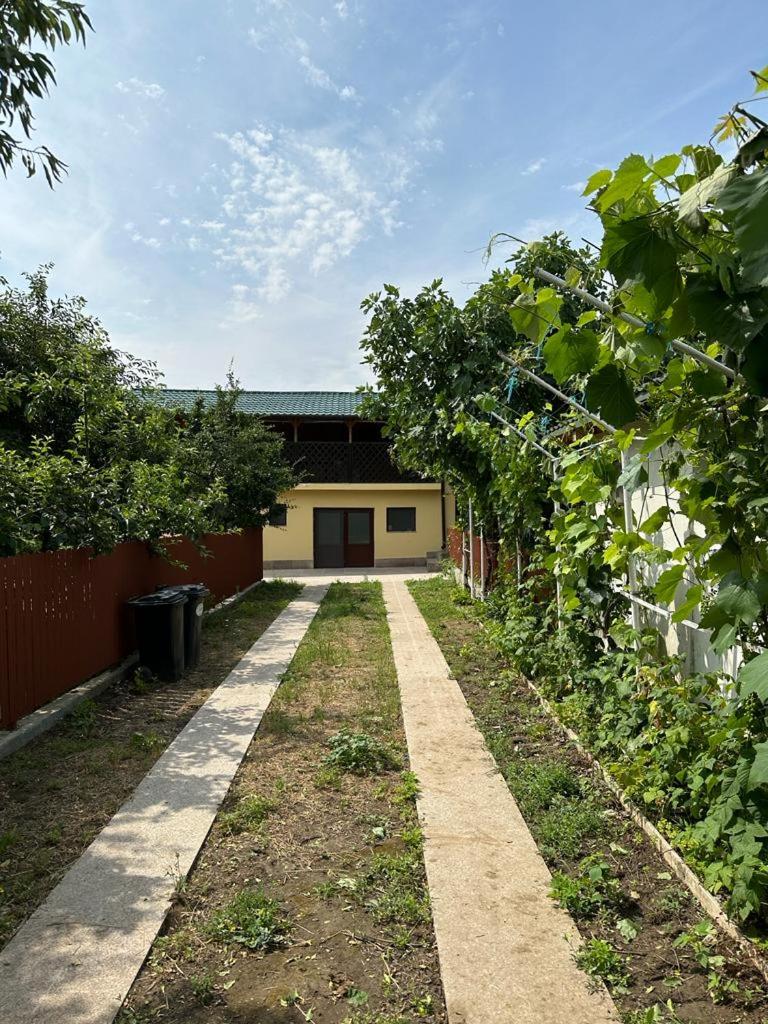 Casa Niculitel langa Bazilica