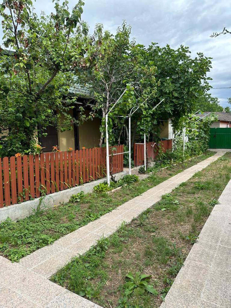 Casa Niculitel langa Bazilica