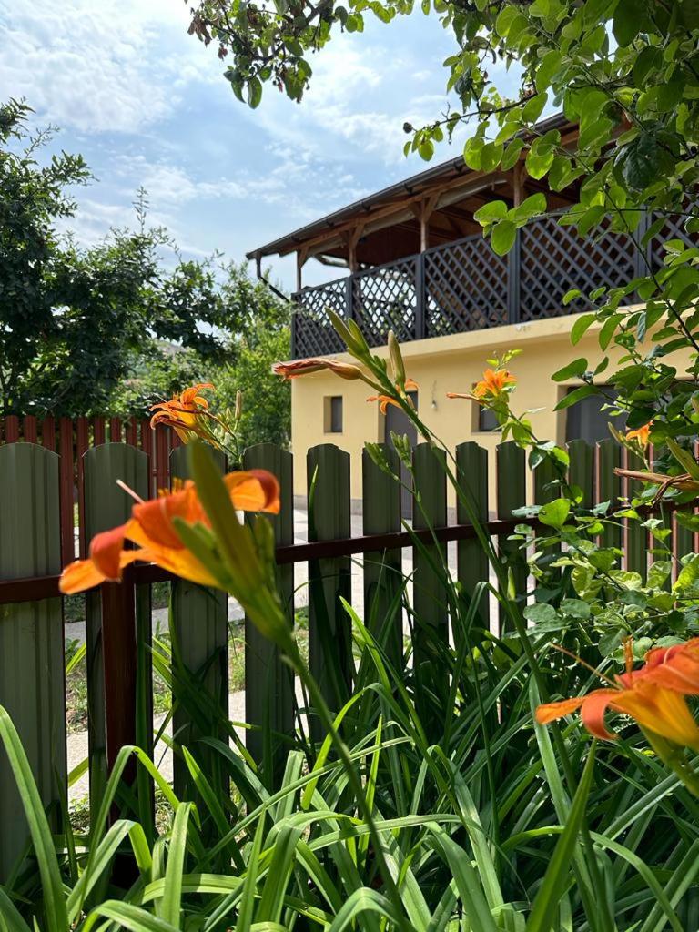 Casa Niculitel langa Bazilica