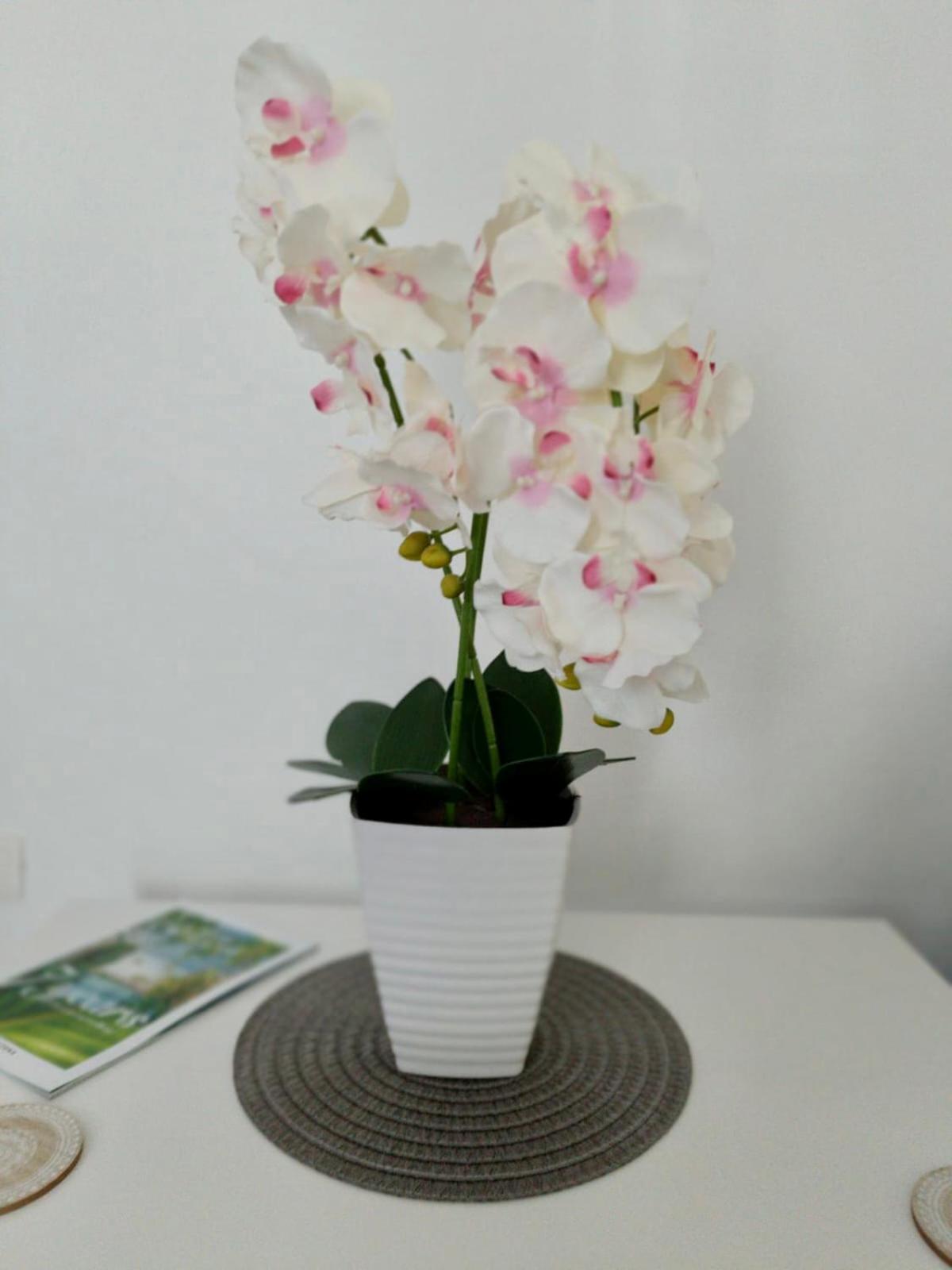 Photo 35