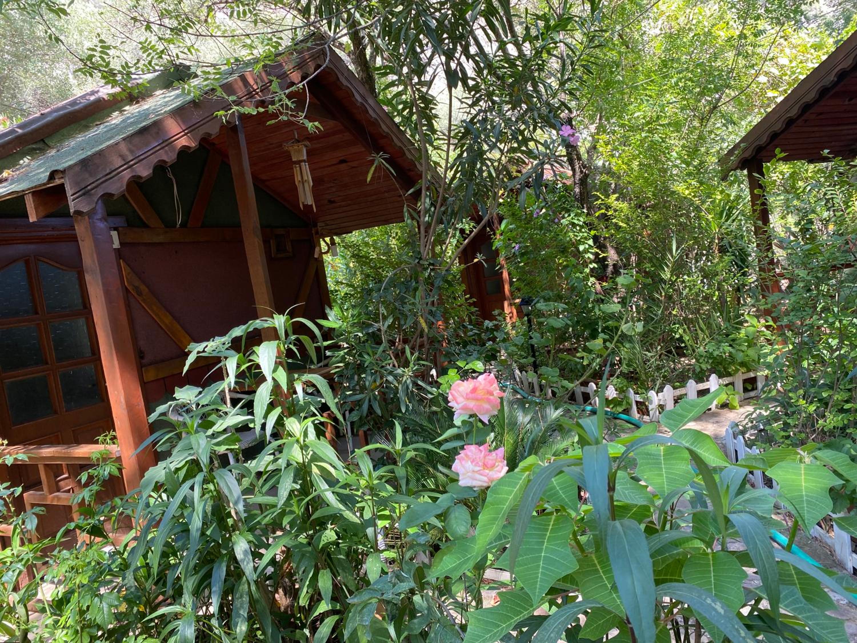 Canario Bungalows