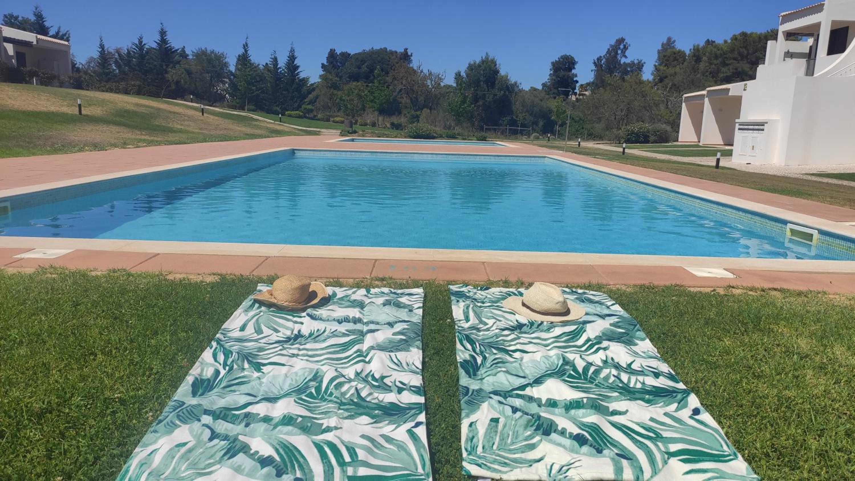Palm House Alvor view 4