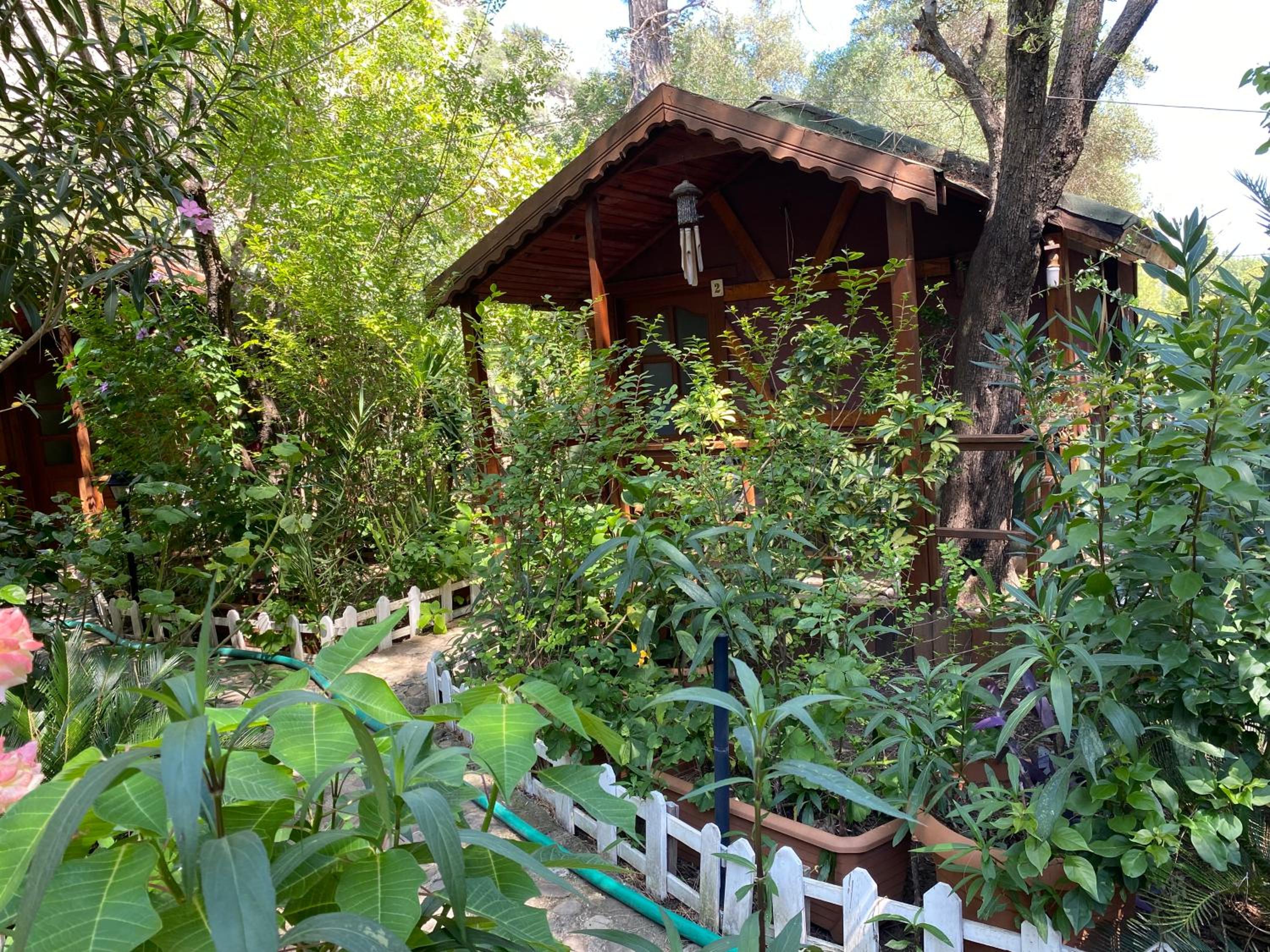 Canario Bungalows