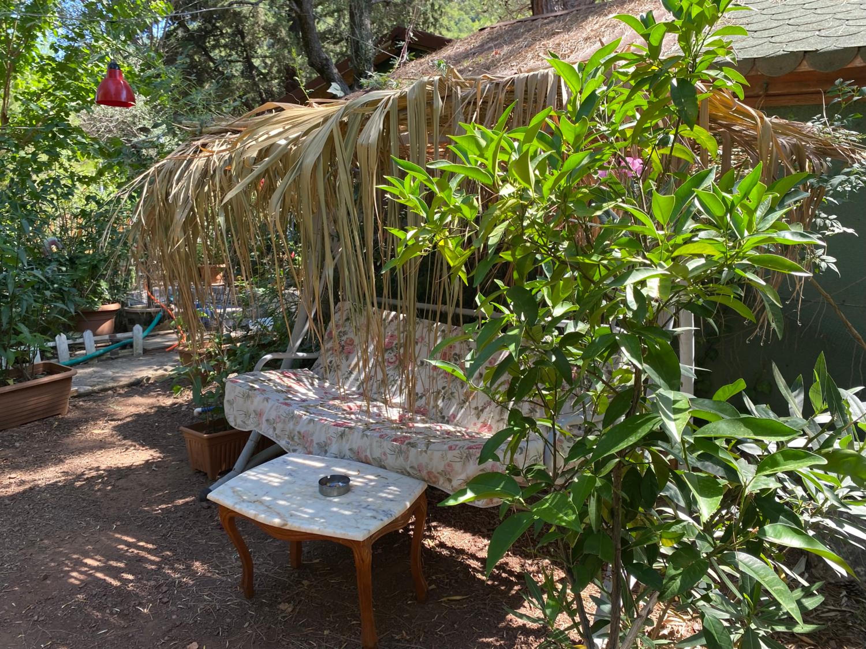Canario Bungalows