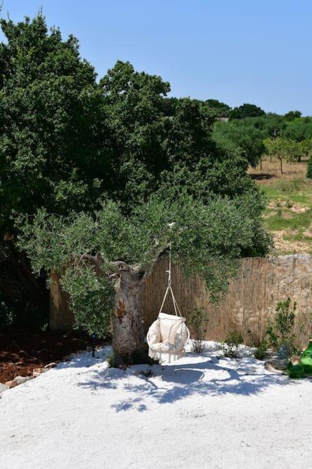 Trulli di Titti - Luxury Country House, photo 31