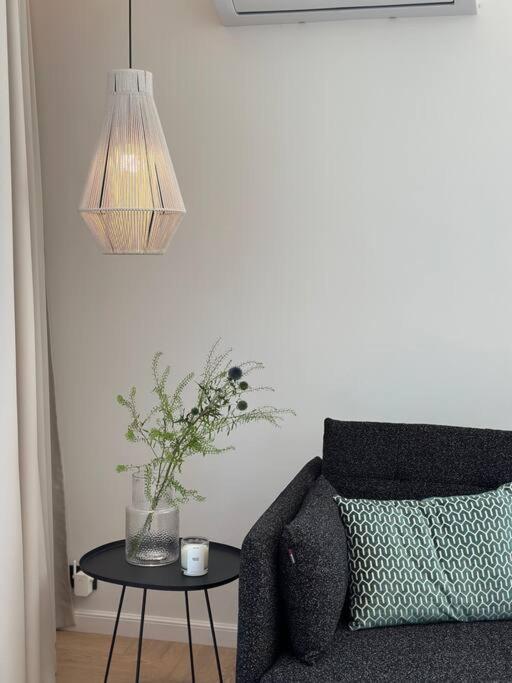 V9 Vanagupės Apartamentai