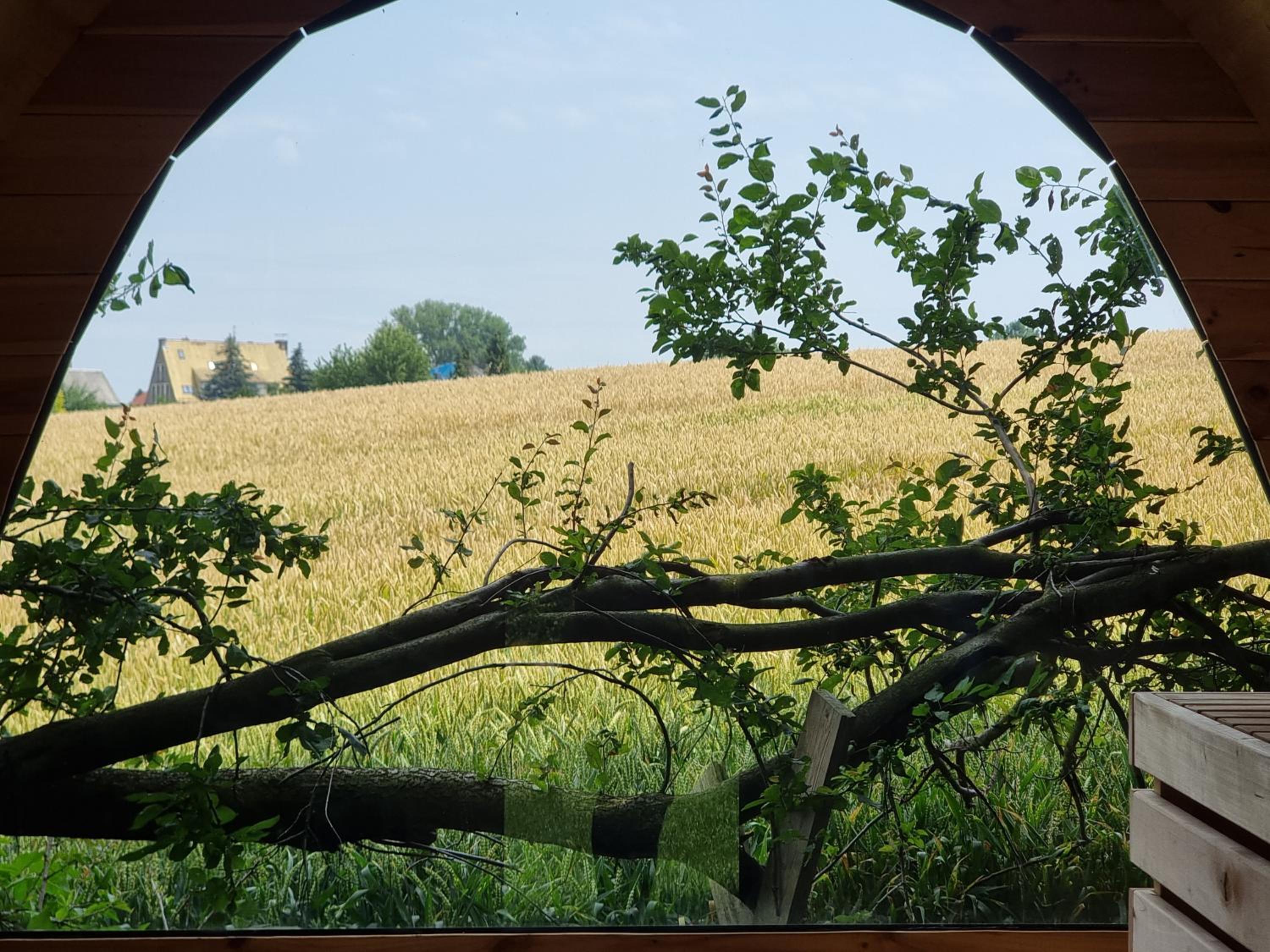 Designwohnung auf Gutshof mit Sauna zw. L/DD