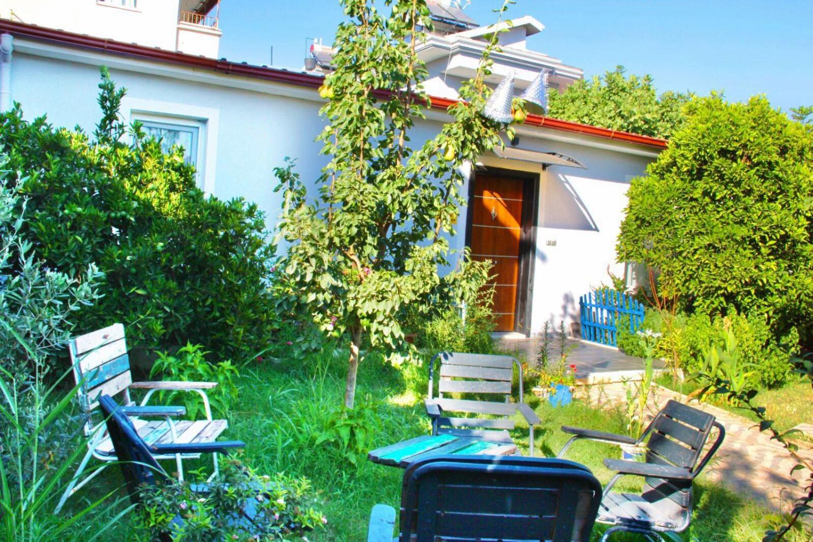 Photo 15