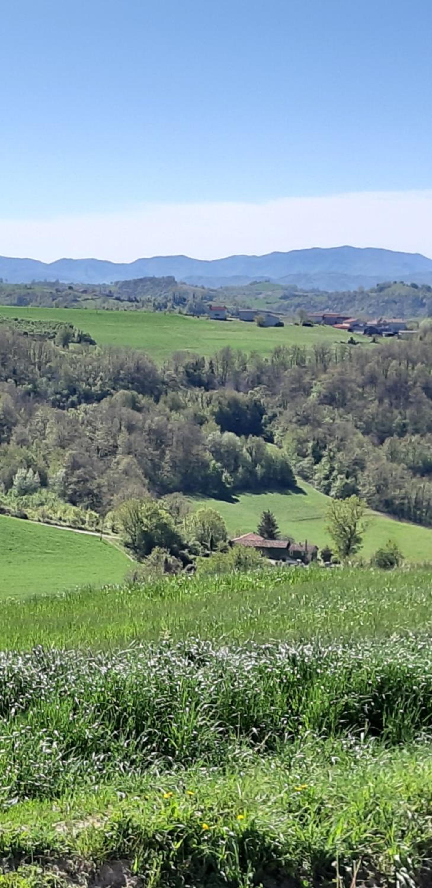 CASCINA BINELLO appartamento B